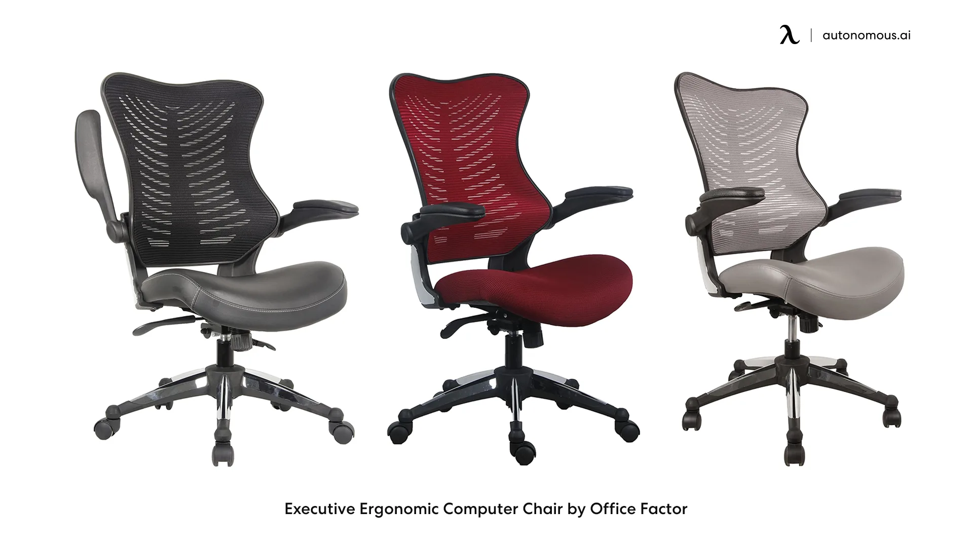 Executive Ergonomic Computer Chair by Office Factor