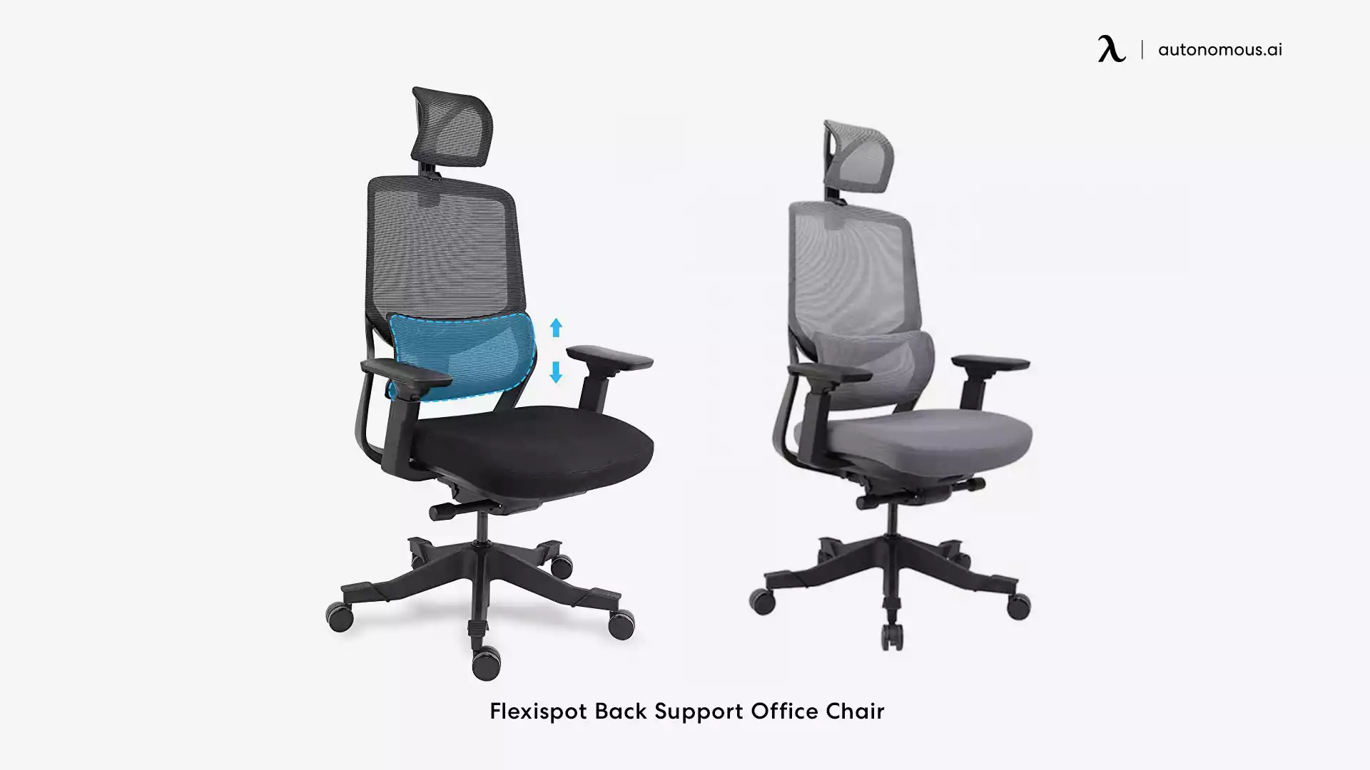Flexispot Back Support mesh office chair