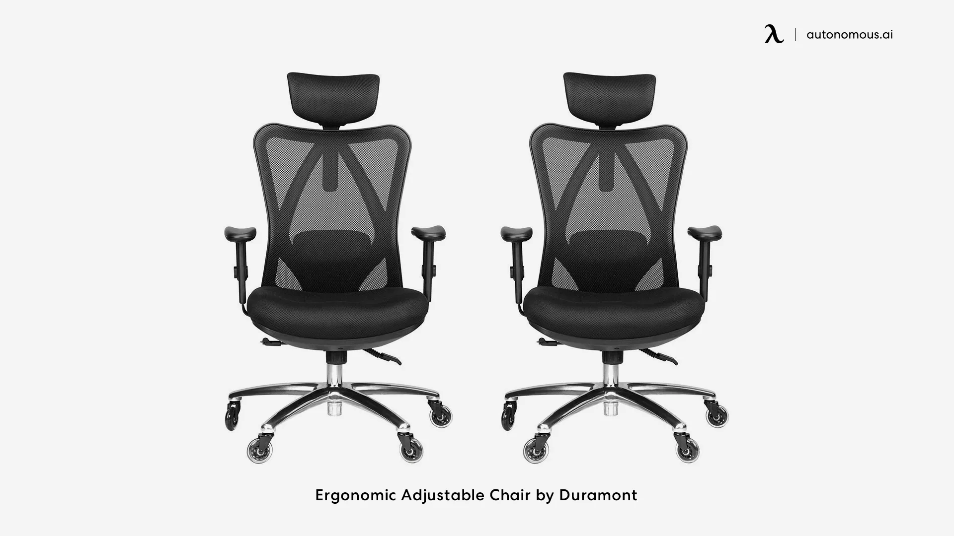 Ergonomic Adjustable Chair by Duramont