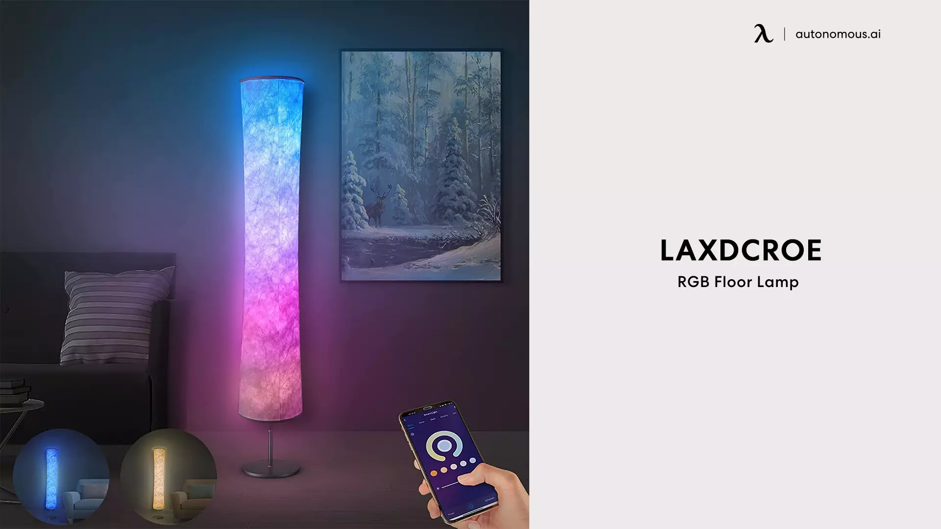 Laxdcroe RGB Floor Lamp