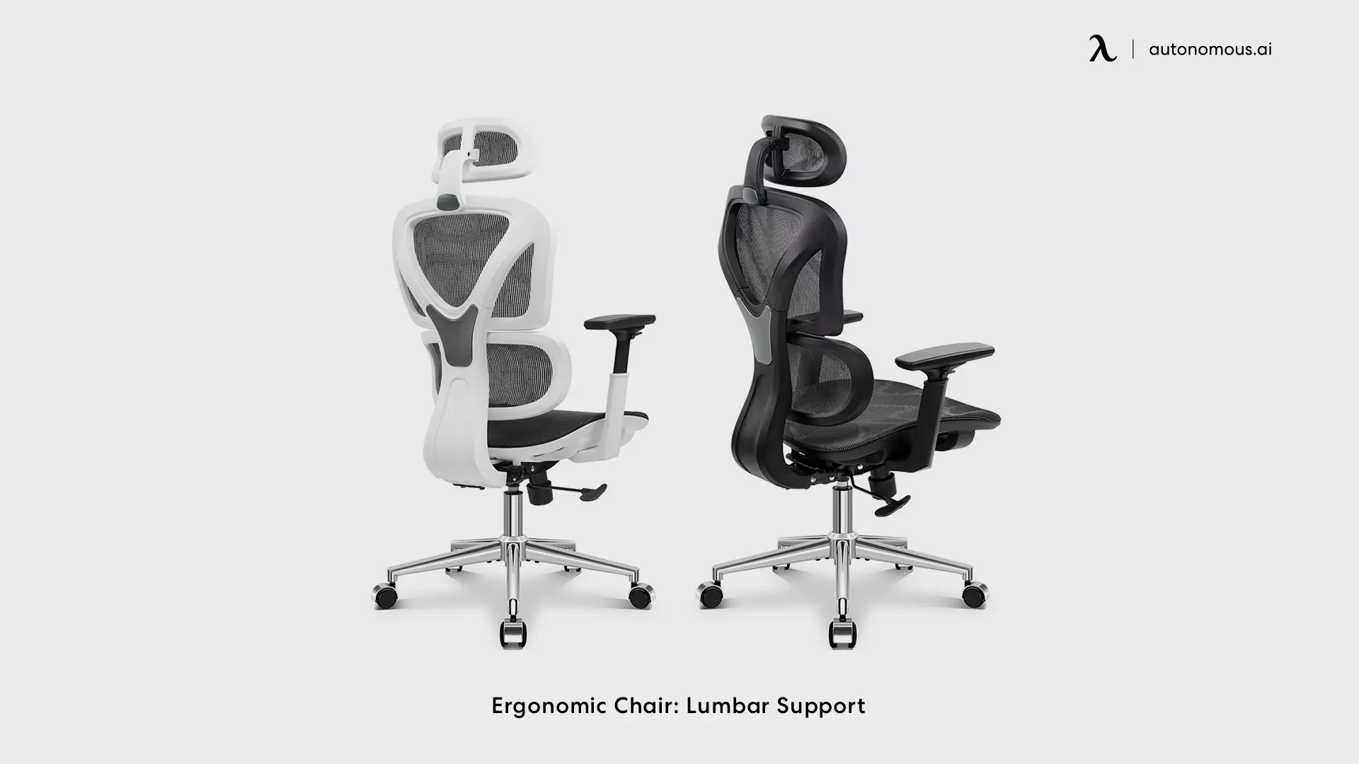 KERDOM Ergonomic Chair with Lumbar Support