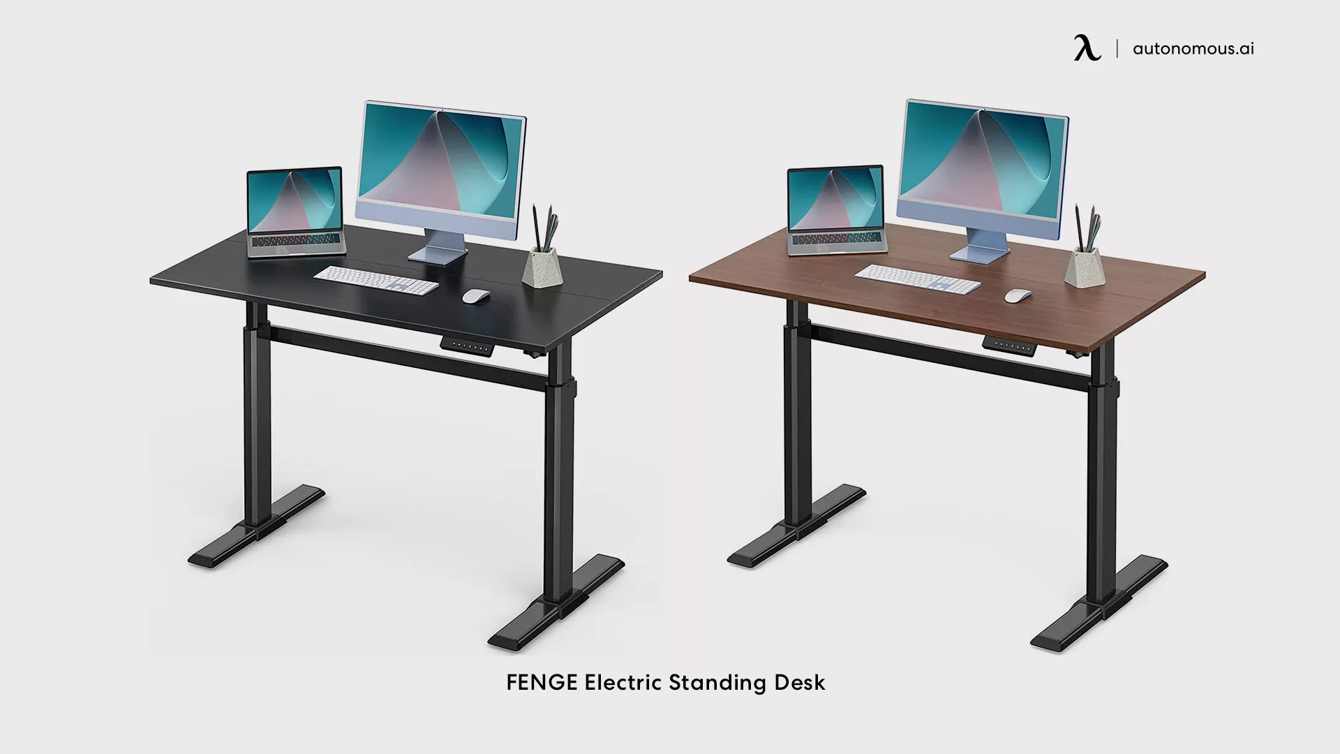 FENGE Electric Standing Desk