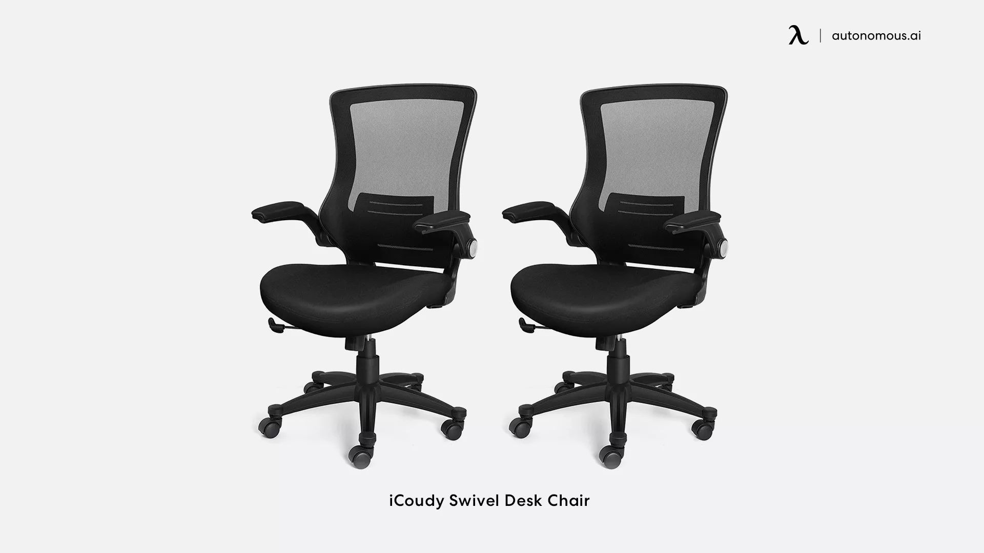 iCoudy Swivel Desk Chair