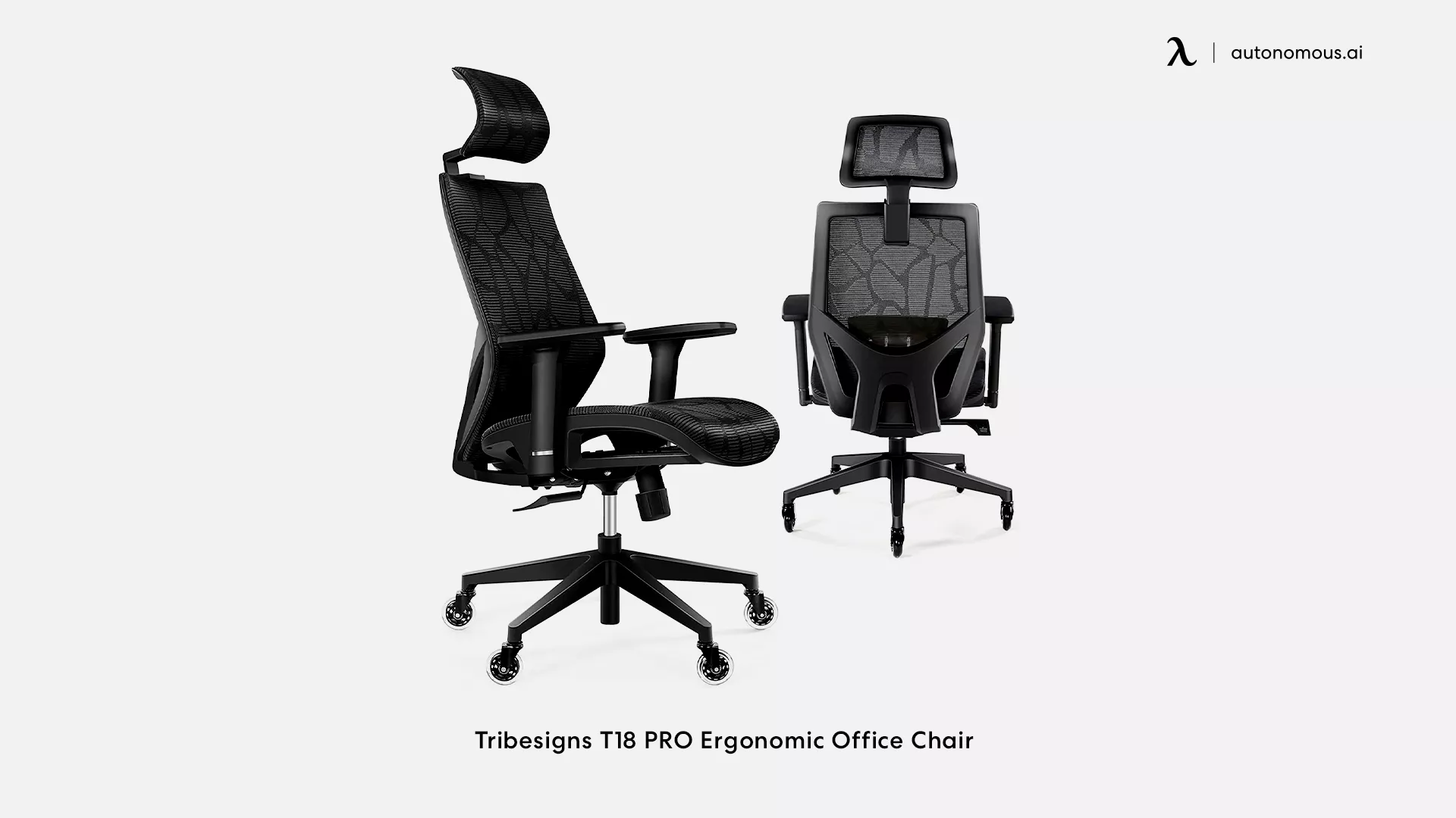 Tribesigns T18 PRO Ergonomic Office Chair