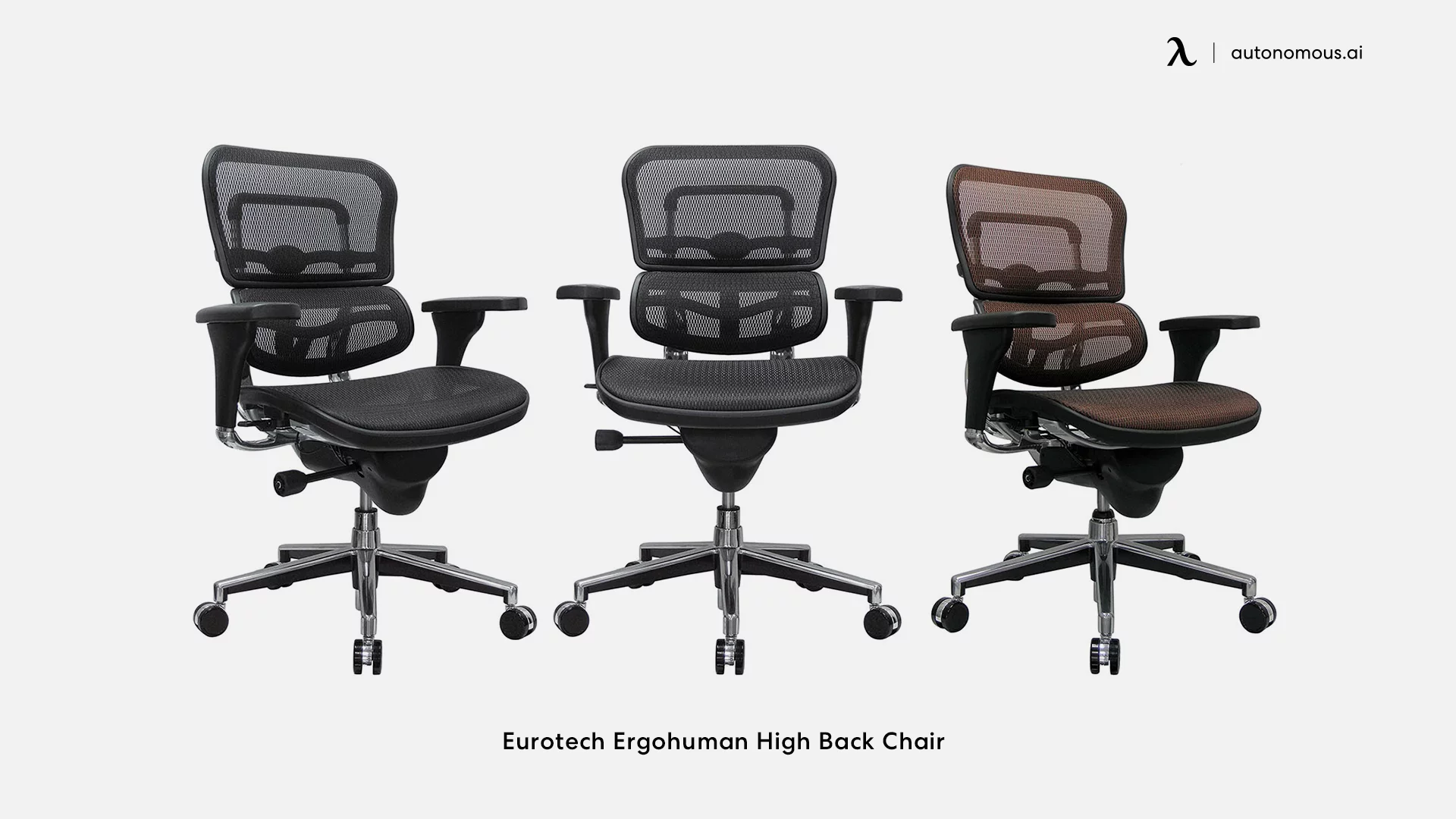Eurotech Ergohuman High Back Chair