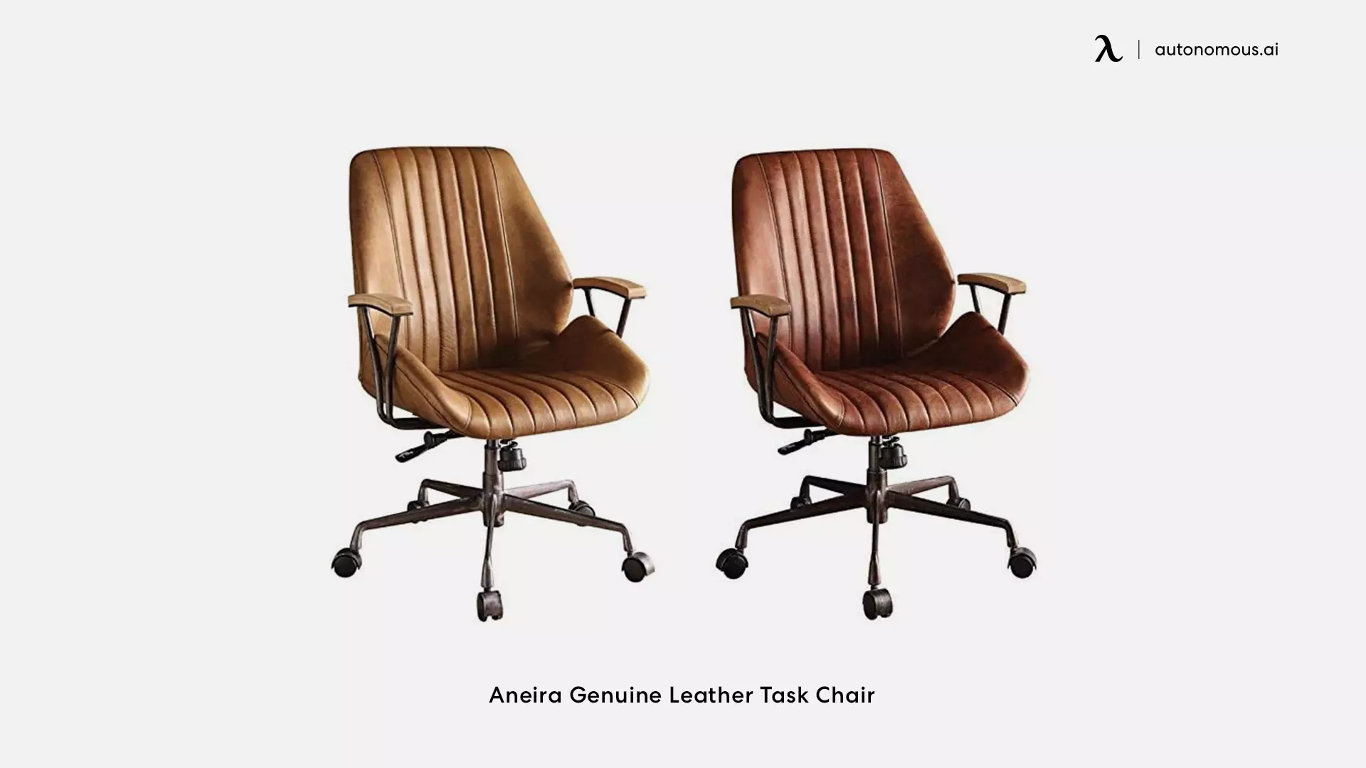 Aneira Genuine Leather Task Chair