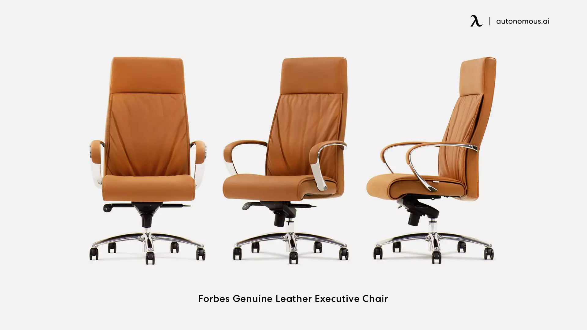 Forbes Genuine Leather Executive Chair