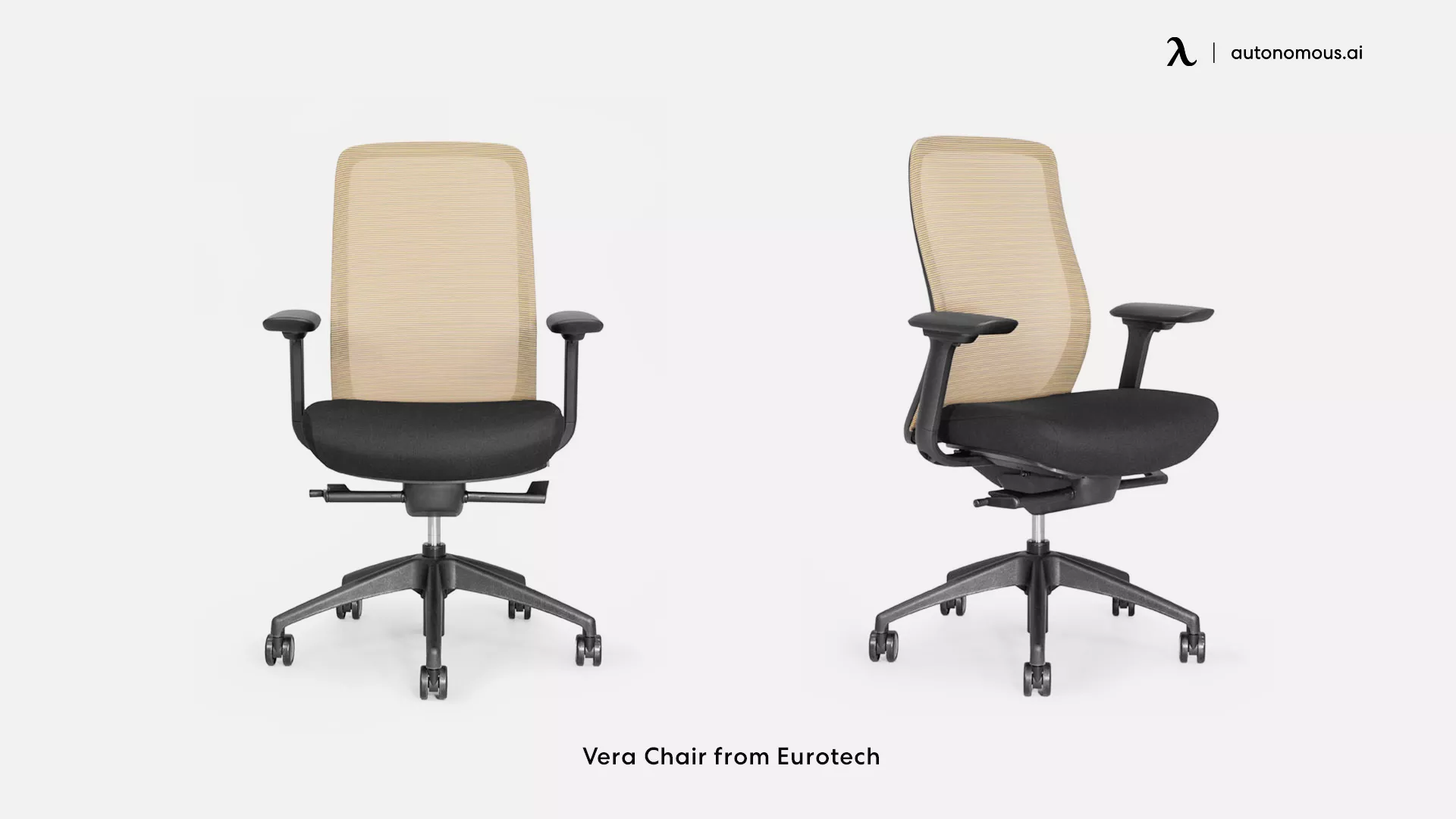 Eurotech Vera mesh office chair