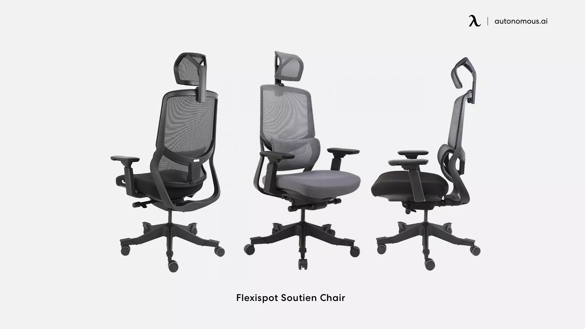 Flexispot Soutien Chair