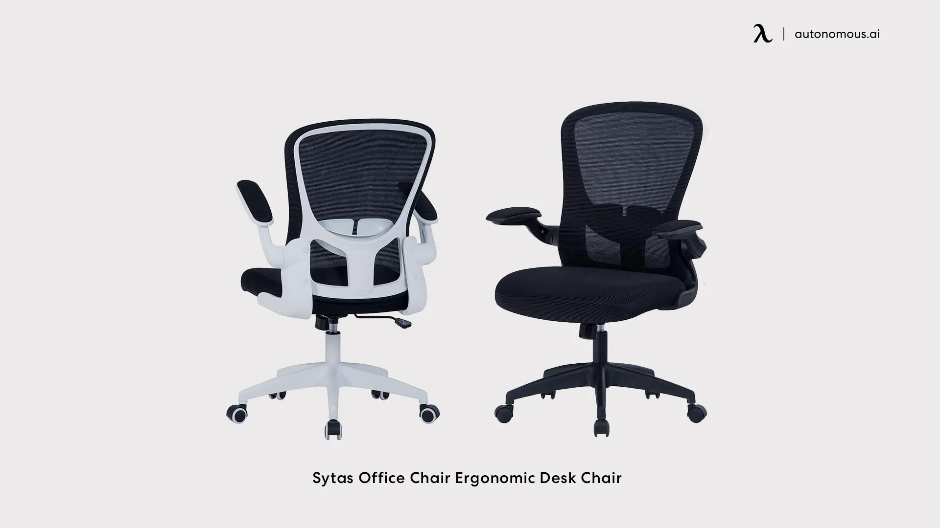 Sytas Office Chair Ergonomic Desk Chair