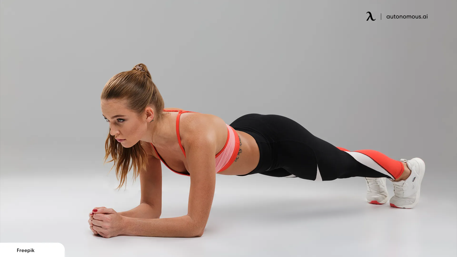 Basic Plank Exercise core stability exercises