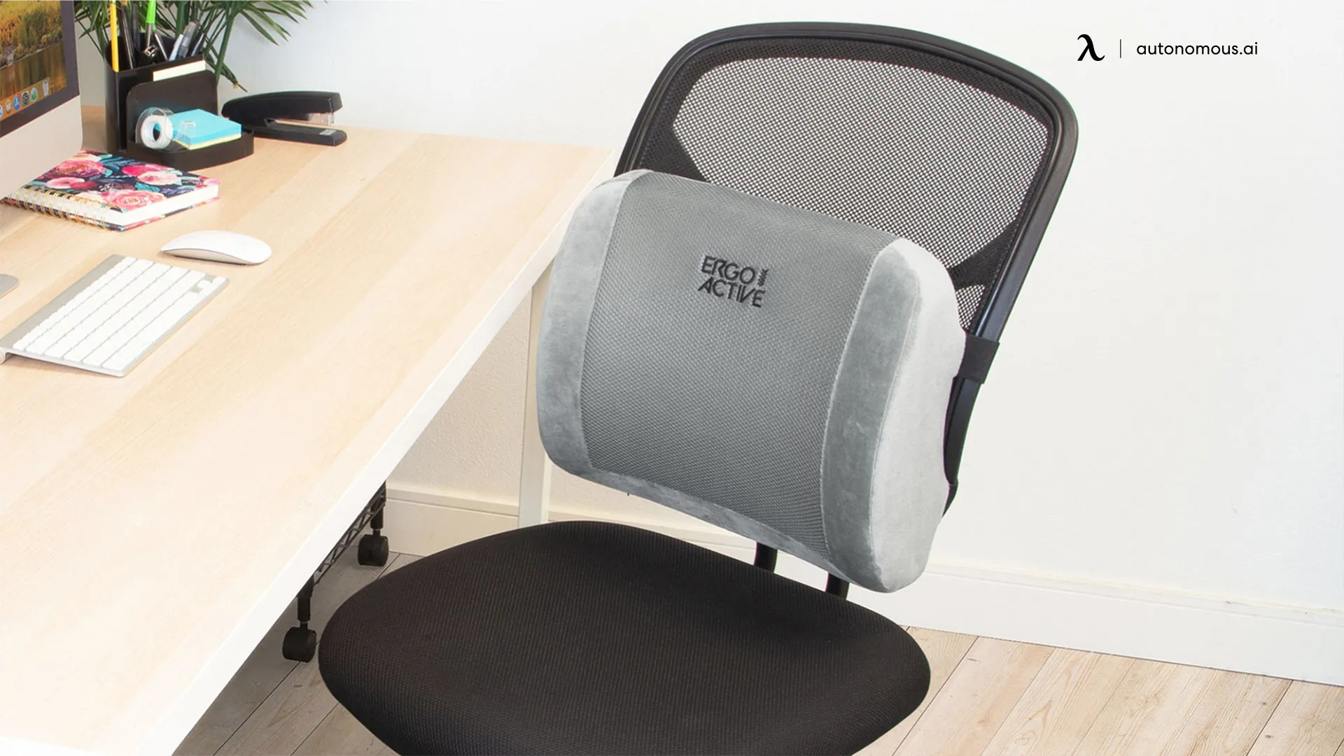 Portable Lumbar Support for Office Chair