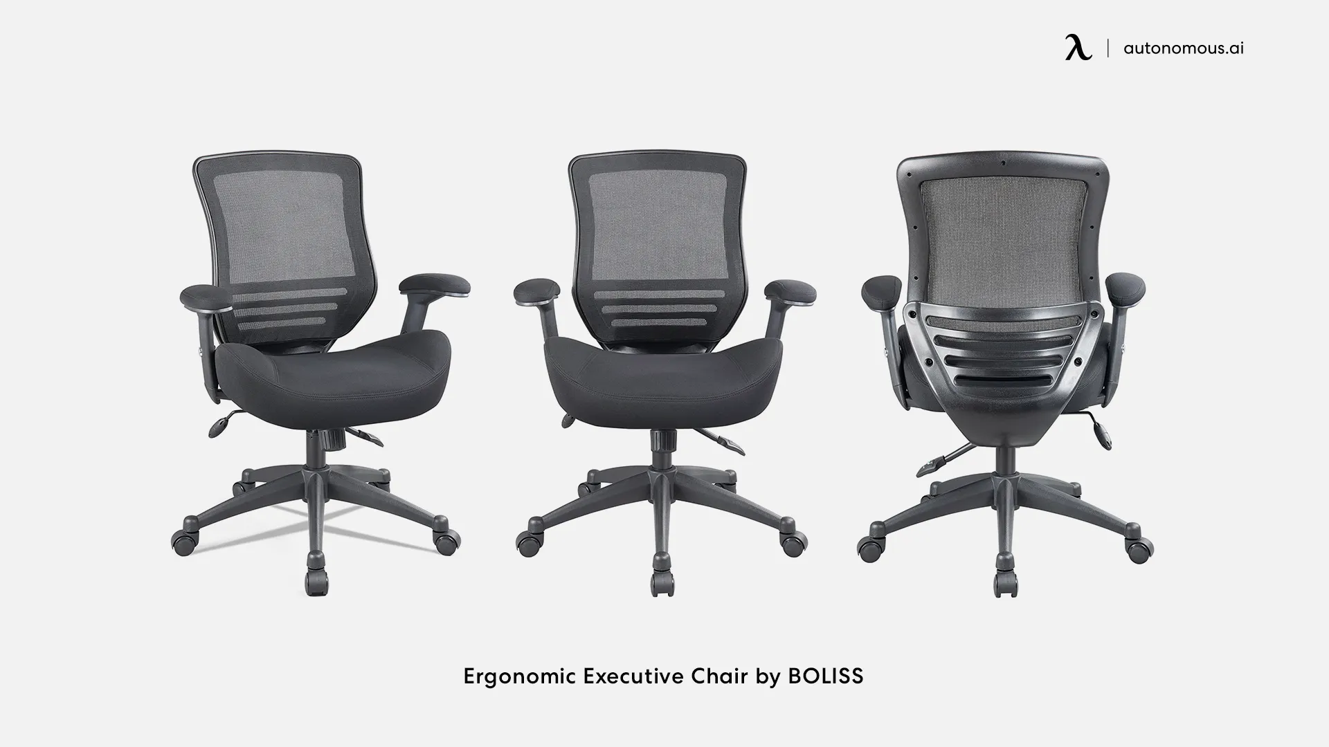 Ergonomic Executive Chair by BOLISS