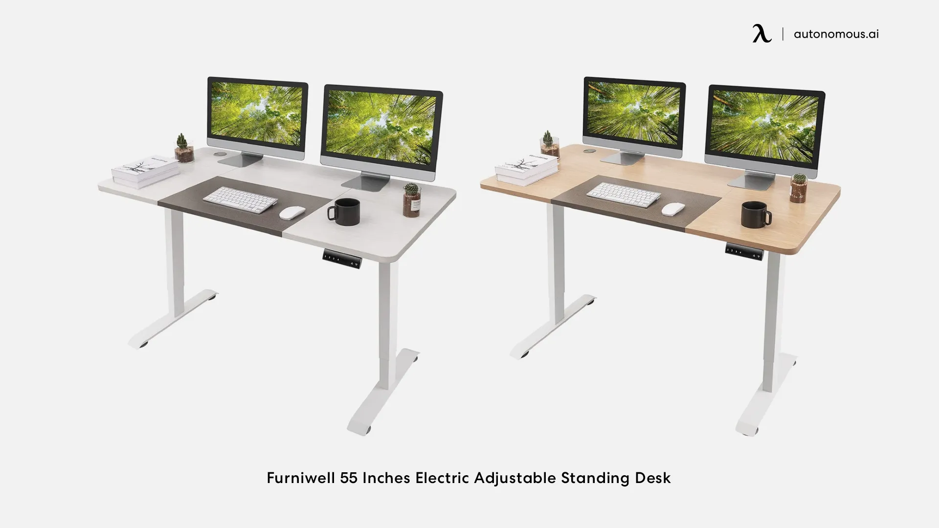Furniwell 55 Inches Electric Adjustable Standing Desk