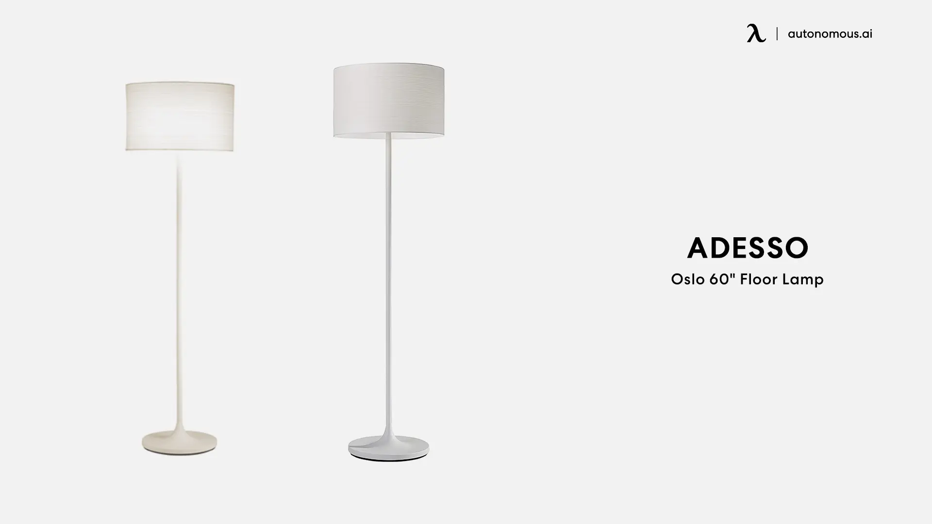 Adesso Olso floor lamp for reading