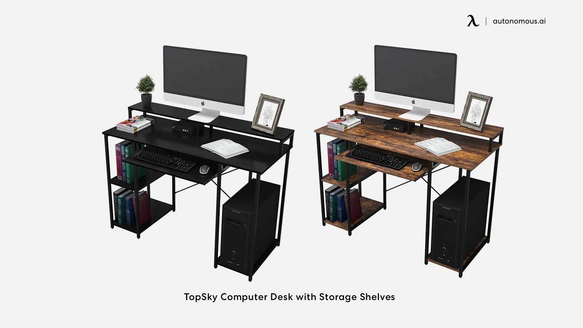 TopSky Computer Desk with Storage Shelves