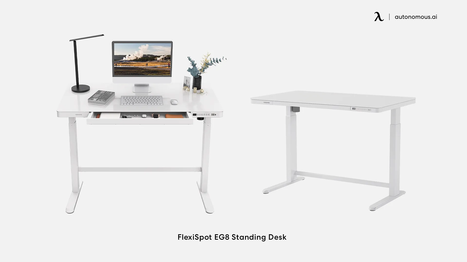FlexiSpot EG8 Standing Desk