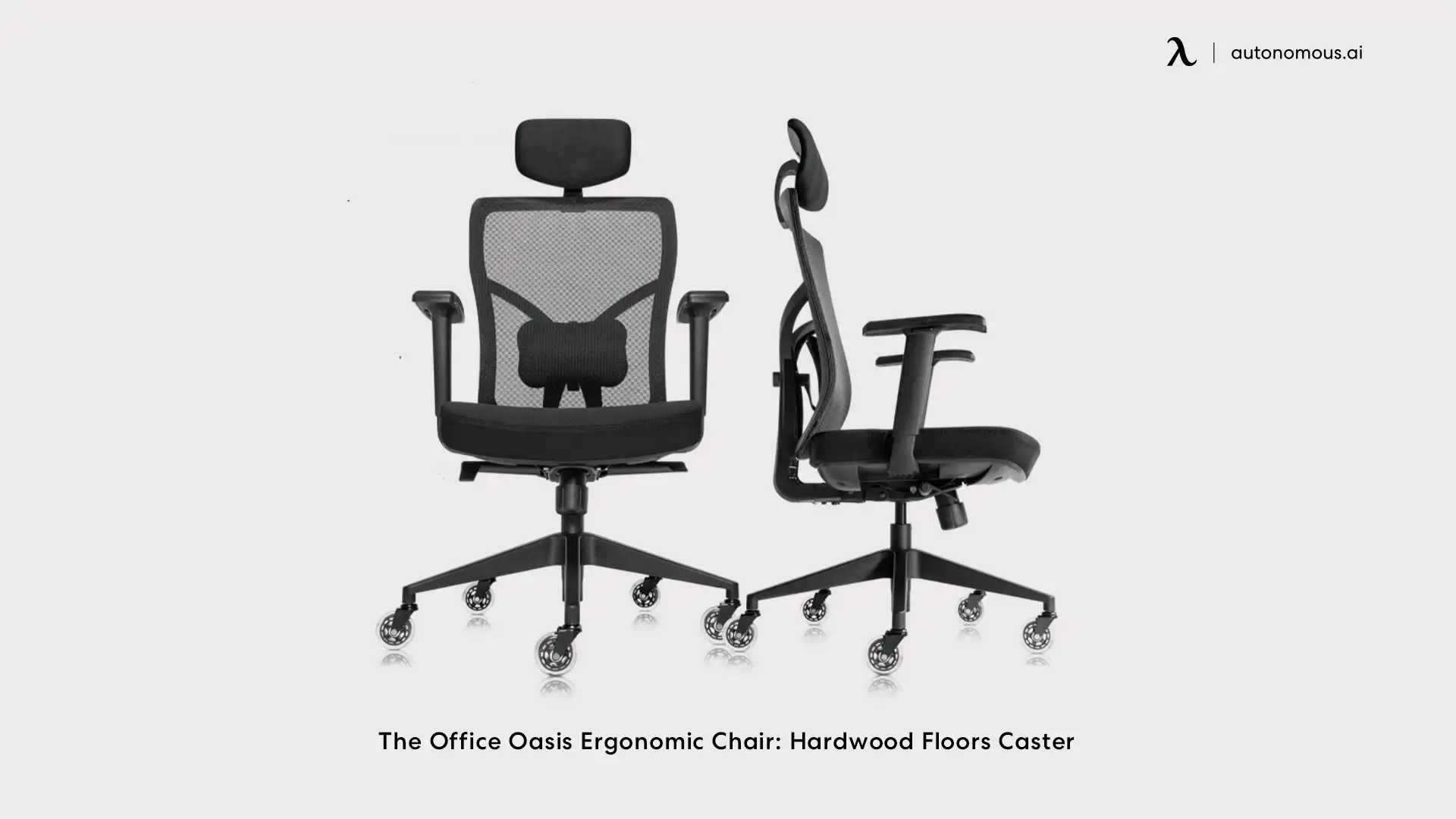 The Office Oasis Ergonomic Chair: Hardwood Floors Caster