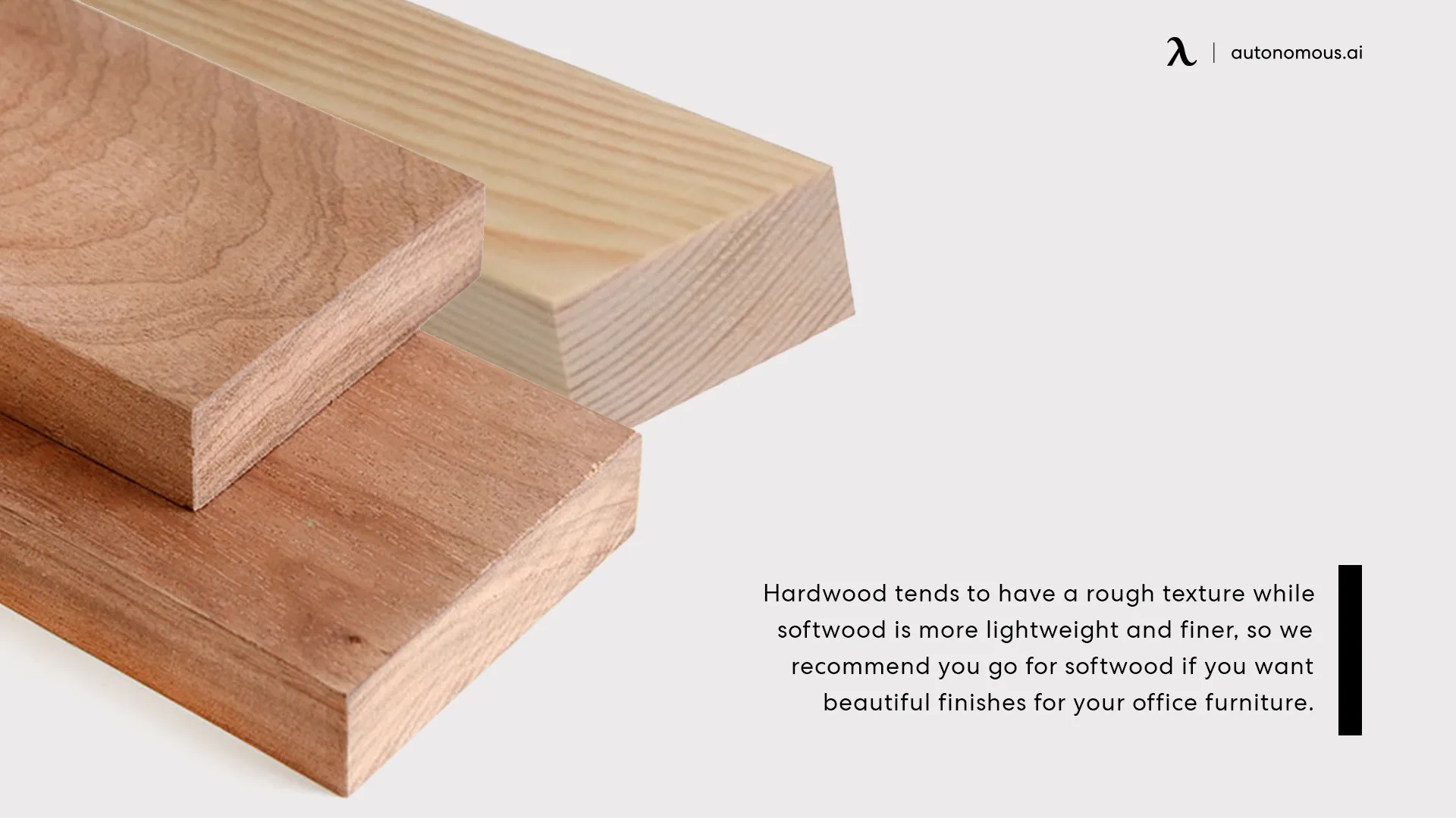 Differences Between Hardwood and Softwood