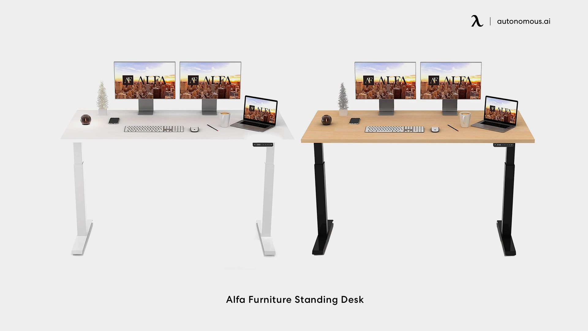 Alfa Furniture Standing Desk