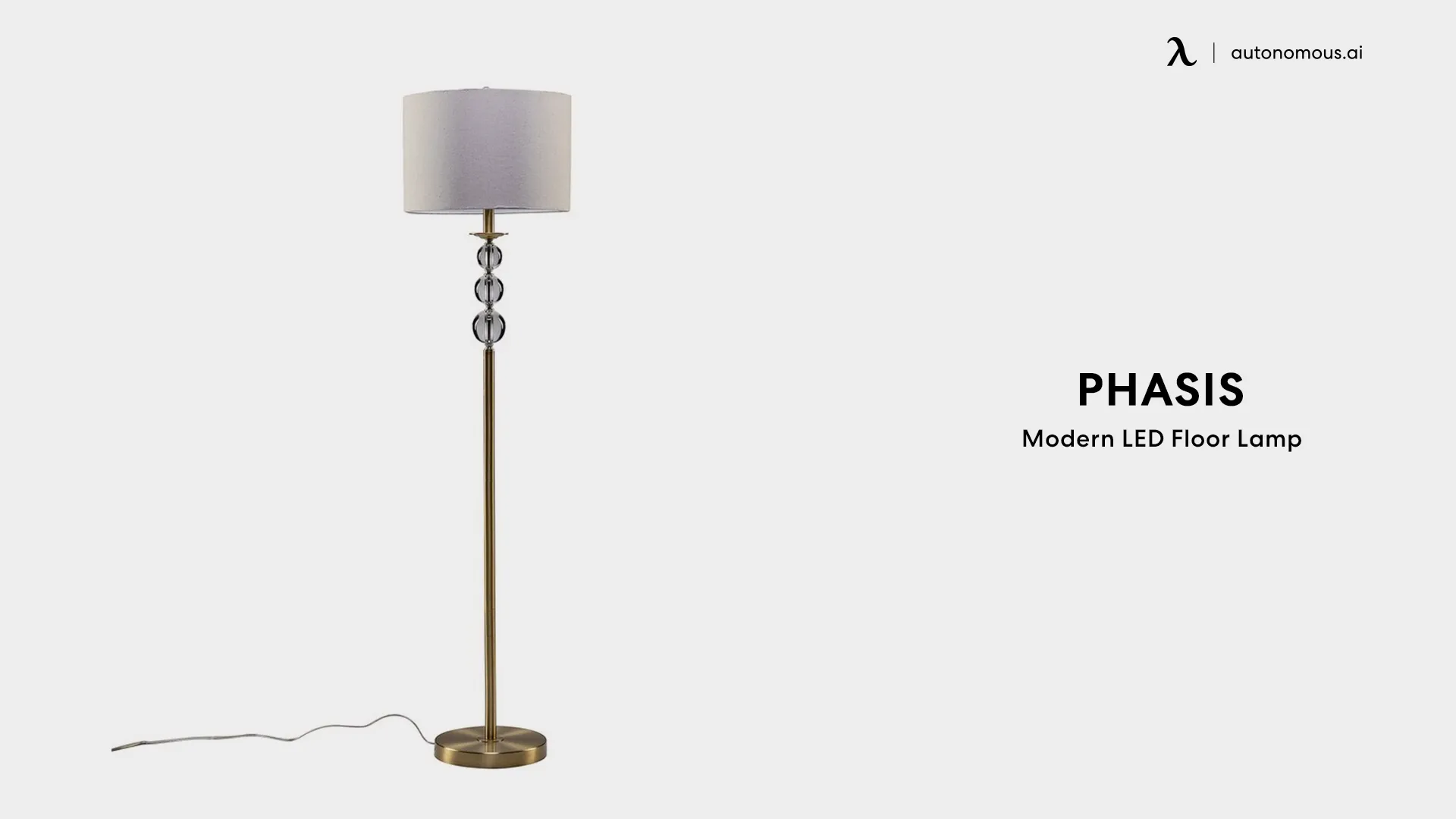 Phasis Modern LED Floor Lamp