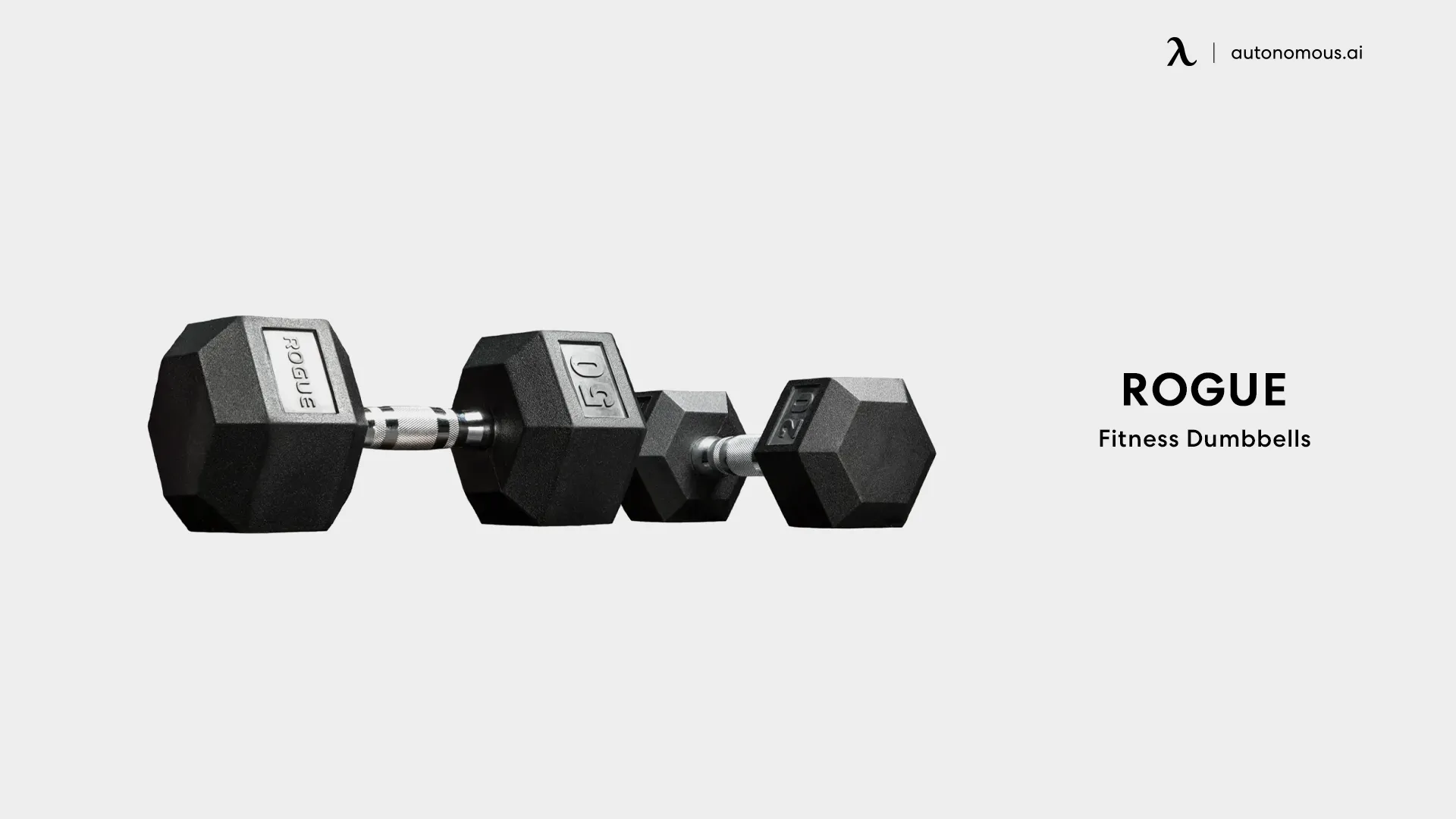 Rogue Fitness Dumbbells - garage gym equipment