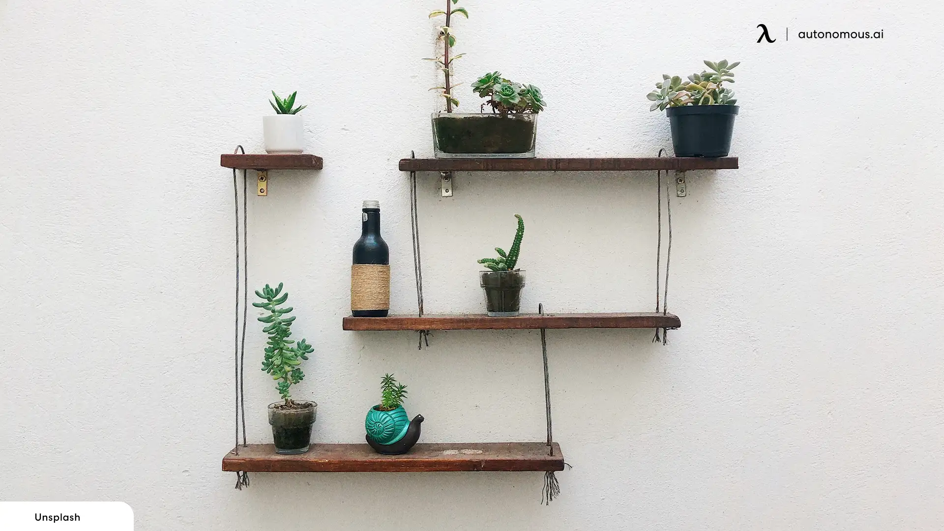 A Wall of Shelves
