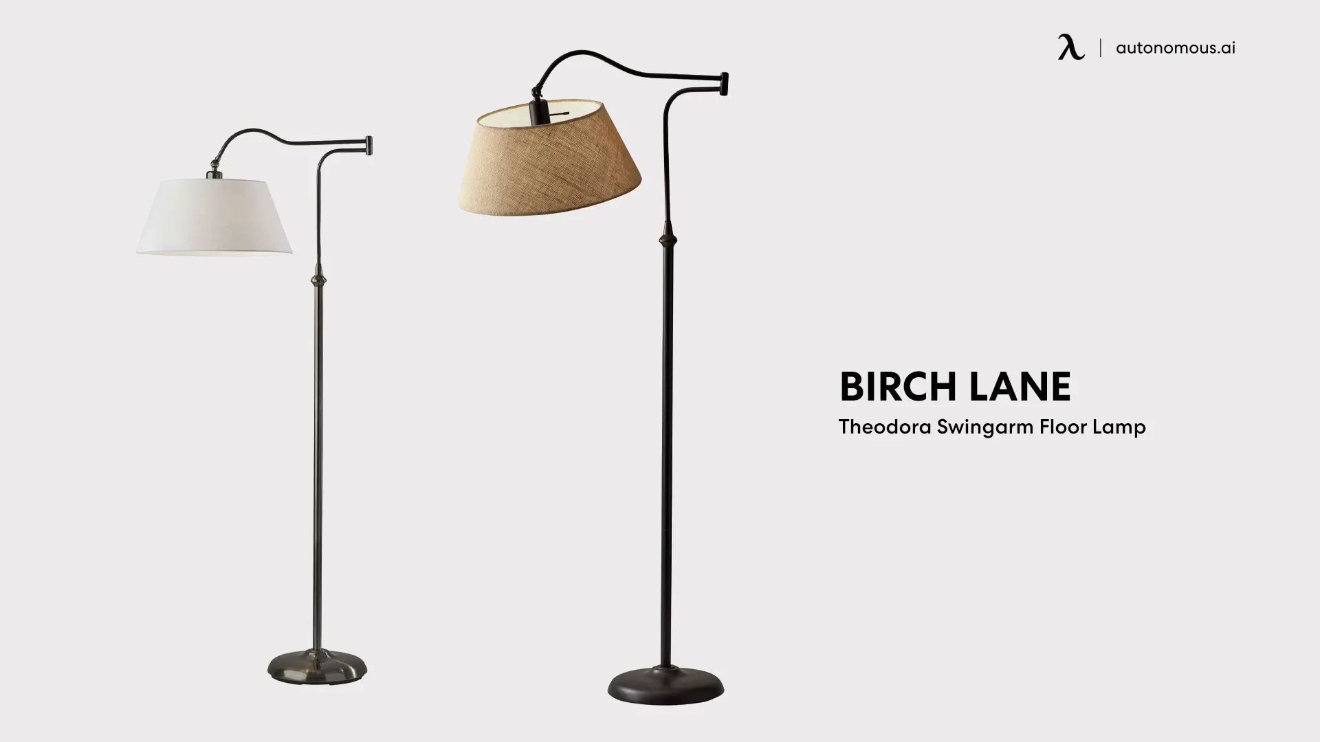 Birch Lane Theodora Swingarm living room lamp