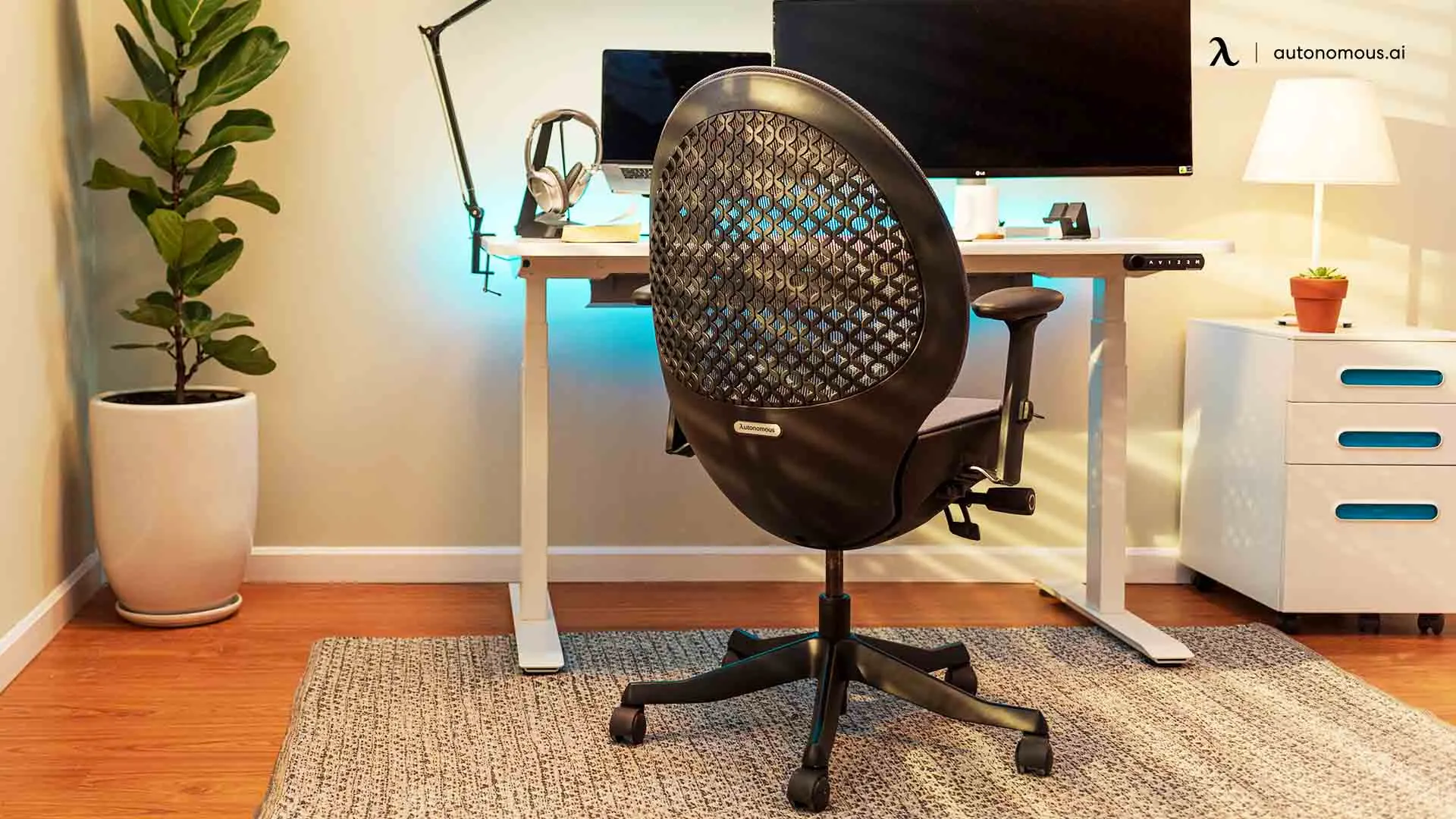 Office Chairs to reduce fatigue
