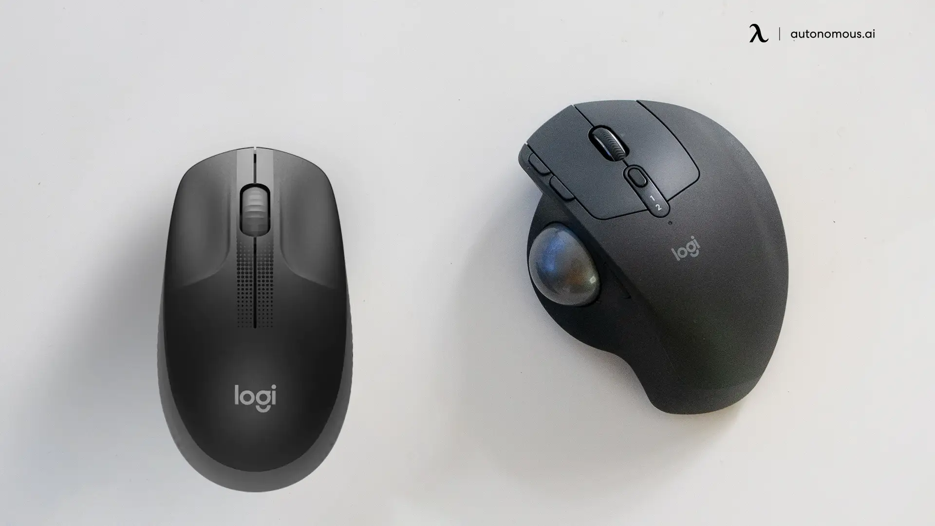 Key Differences Between a Trackball Mouse vs. a Regular Mouse