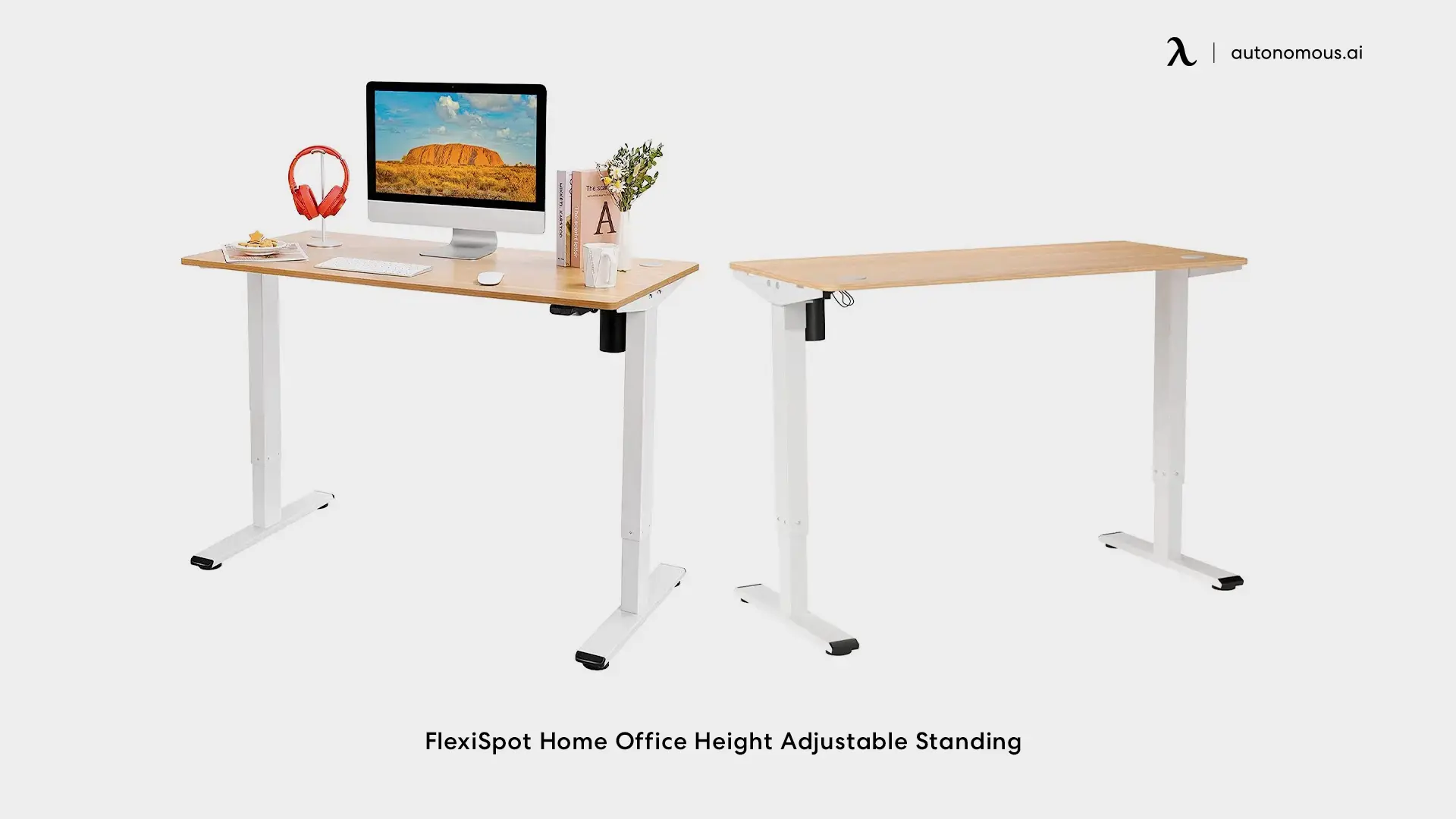 FlexiSpot Home Office Height Adjustable Standing Desk