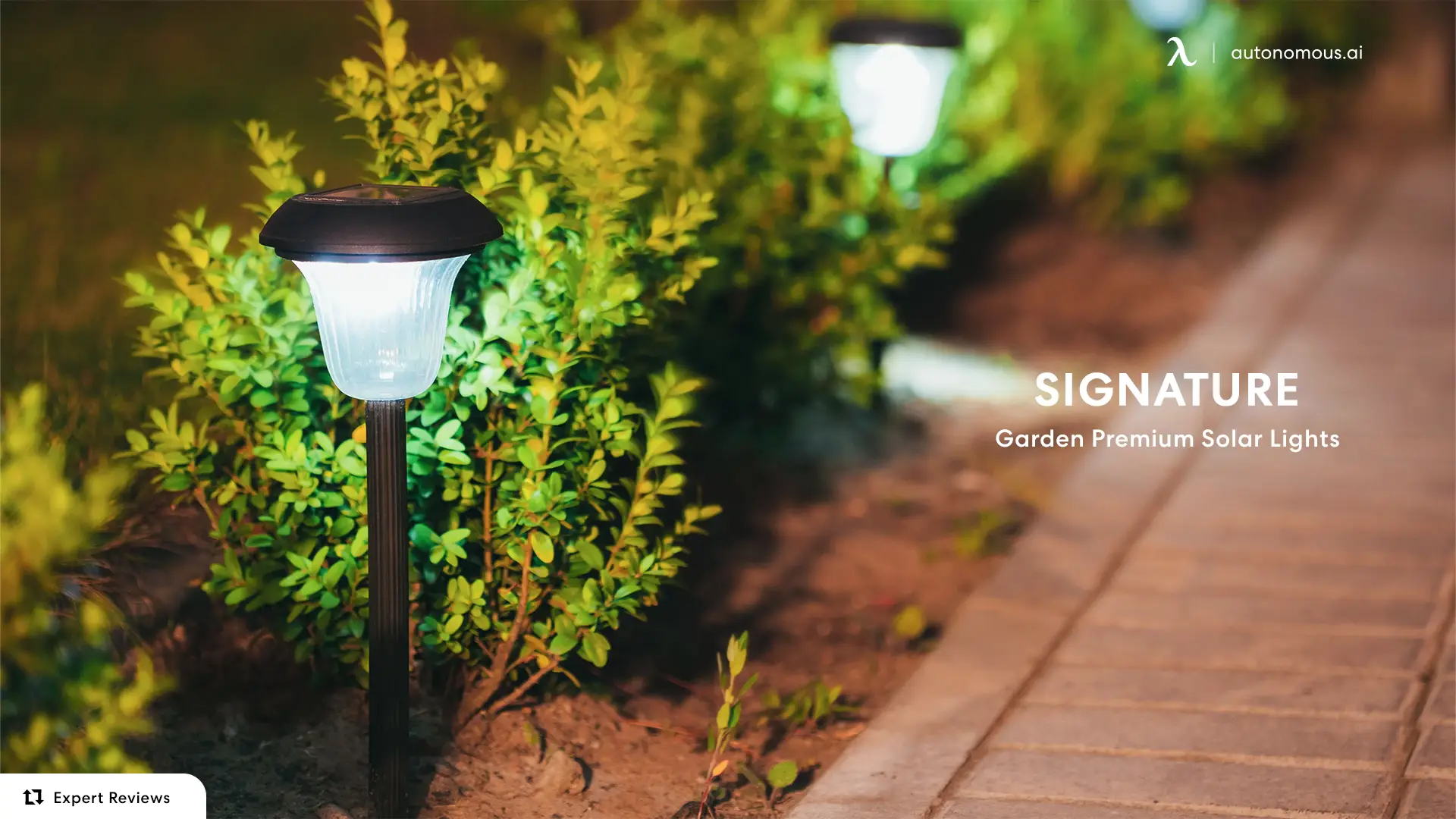 Garden Premium Solar Lights from Signature