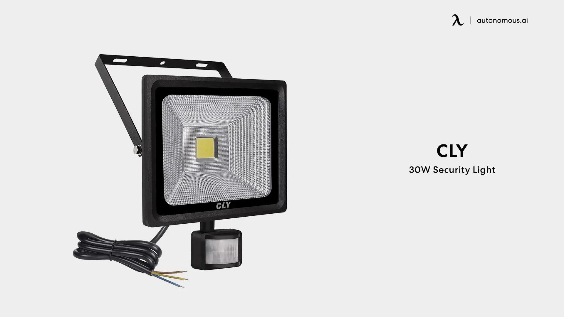 CLY 30W Security Light