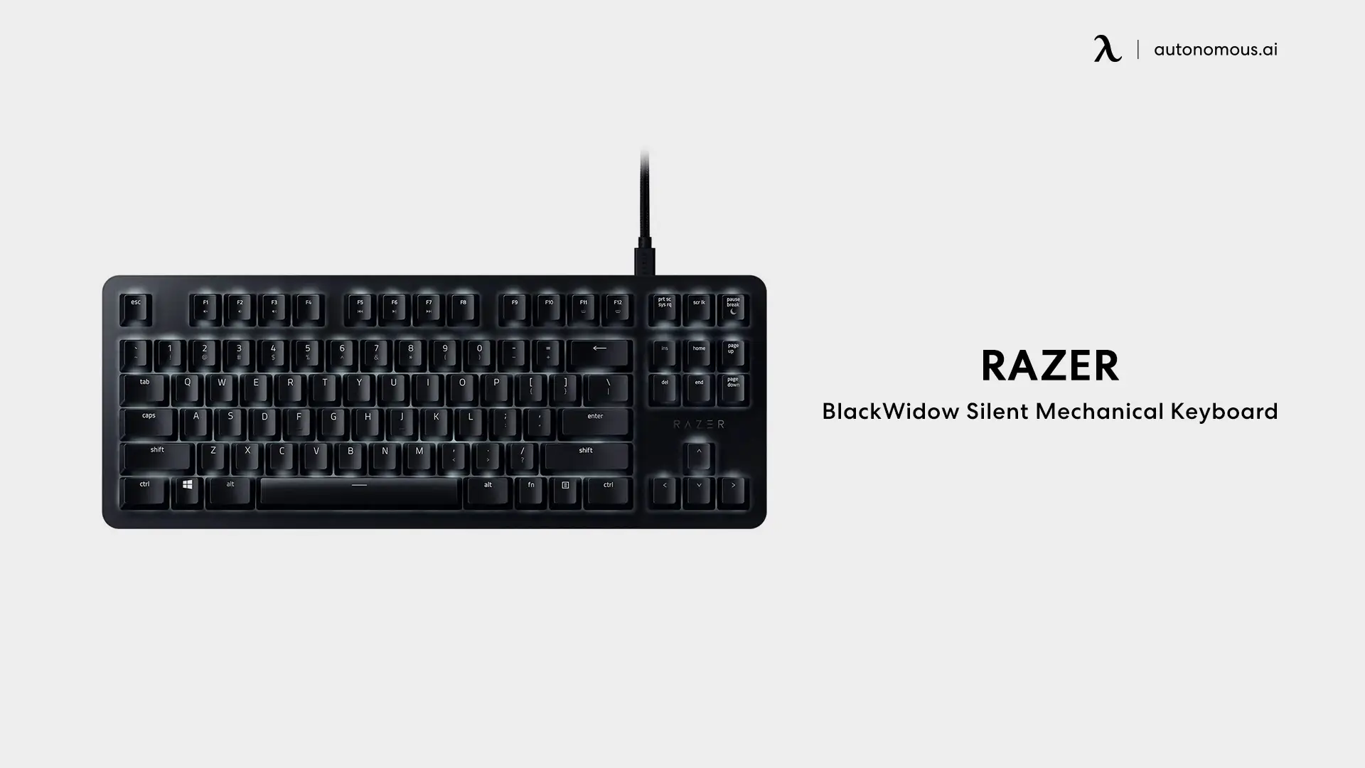 Razer BlackWidow Silent Mechanical Keyboard