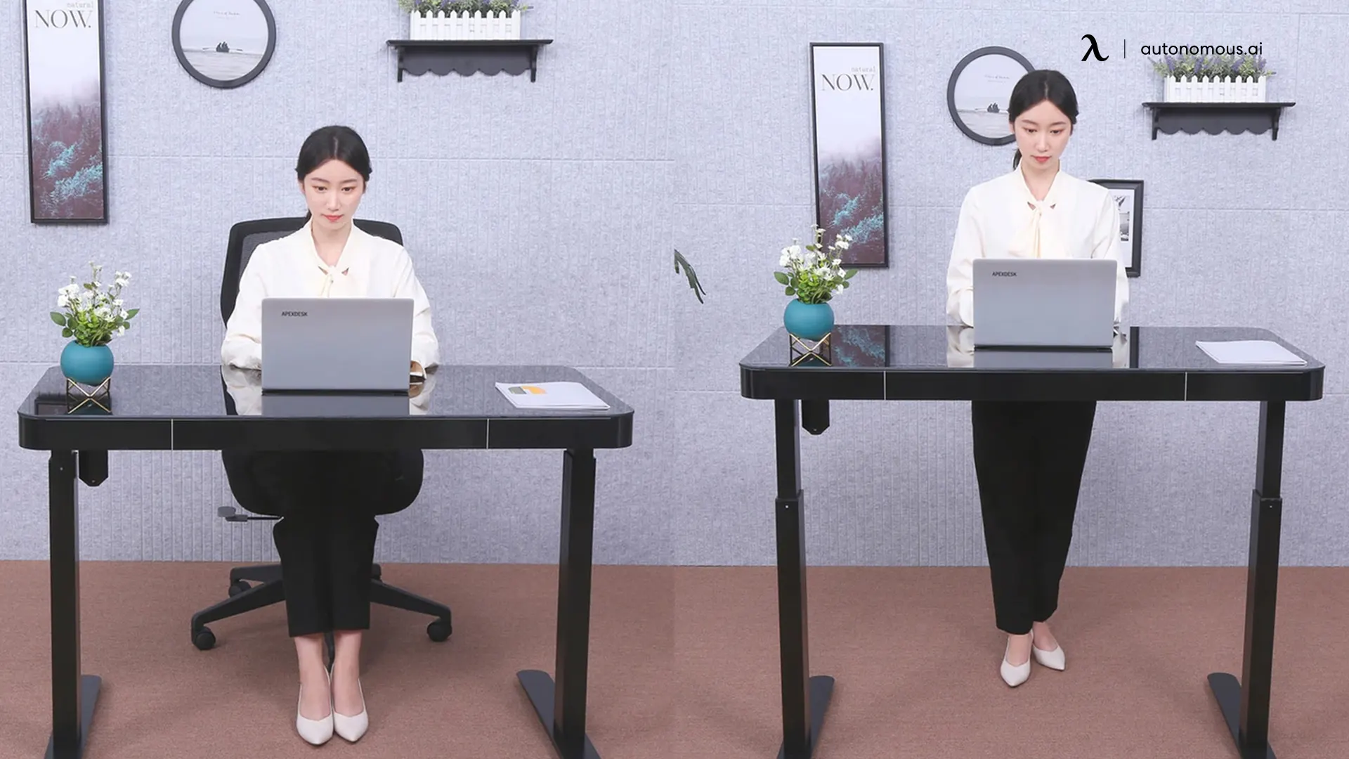 Standing & Height Adjustable Desks