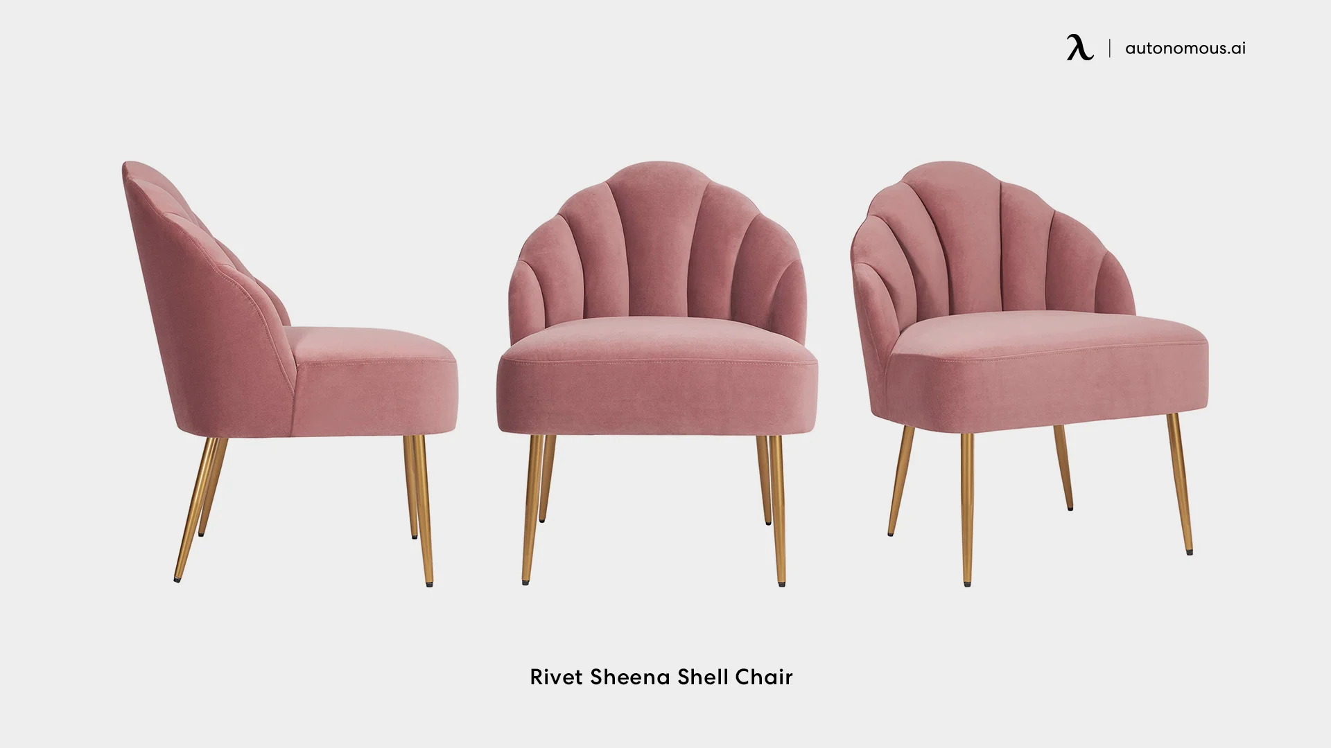 Rivet Sheena Shell Chair