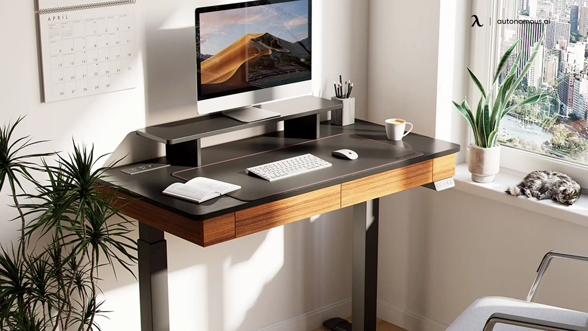 What Are The Benefits of Using a Eureka Ergonomic Desk?