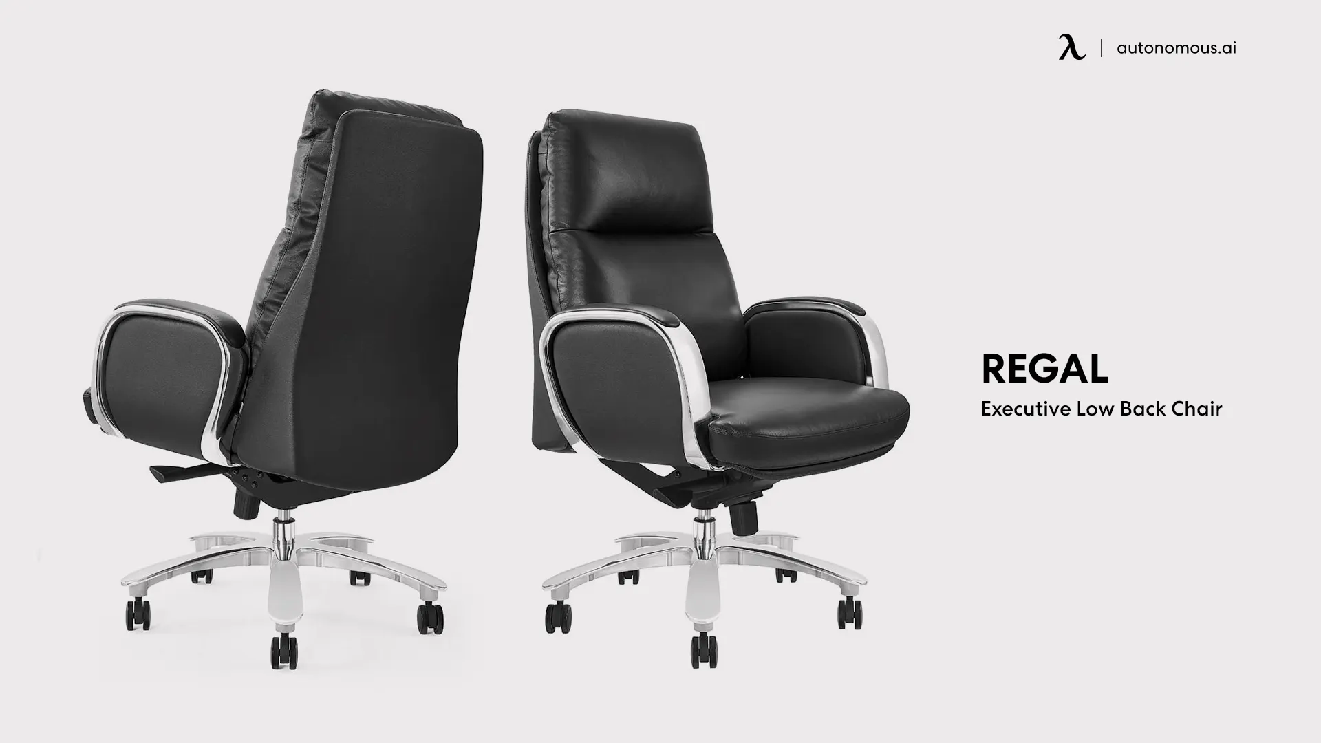 Regal Low Executive Chair - low-back chair