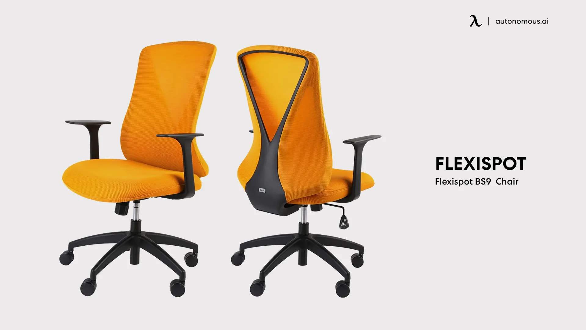 Flexispot BS9 - low-back chair
