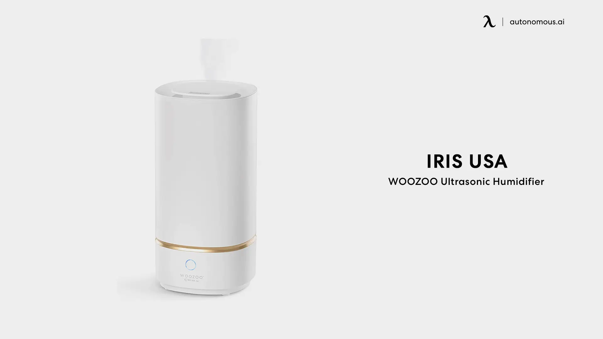 IRIS WOOZOO USA Ultrasonic best Humidifier