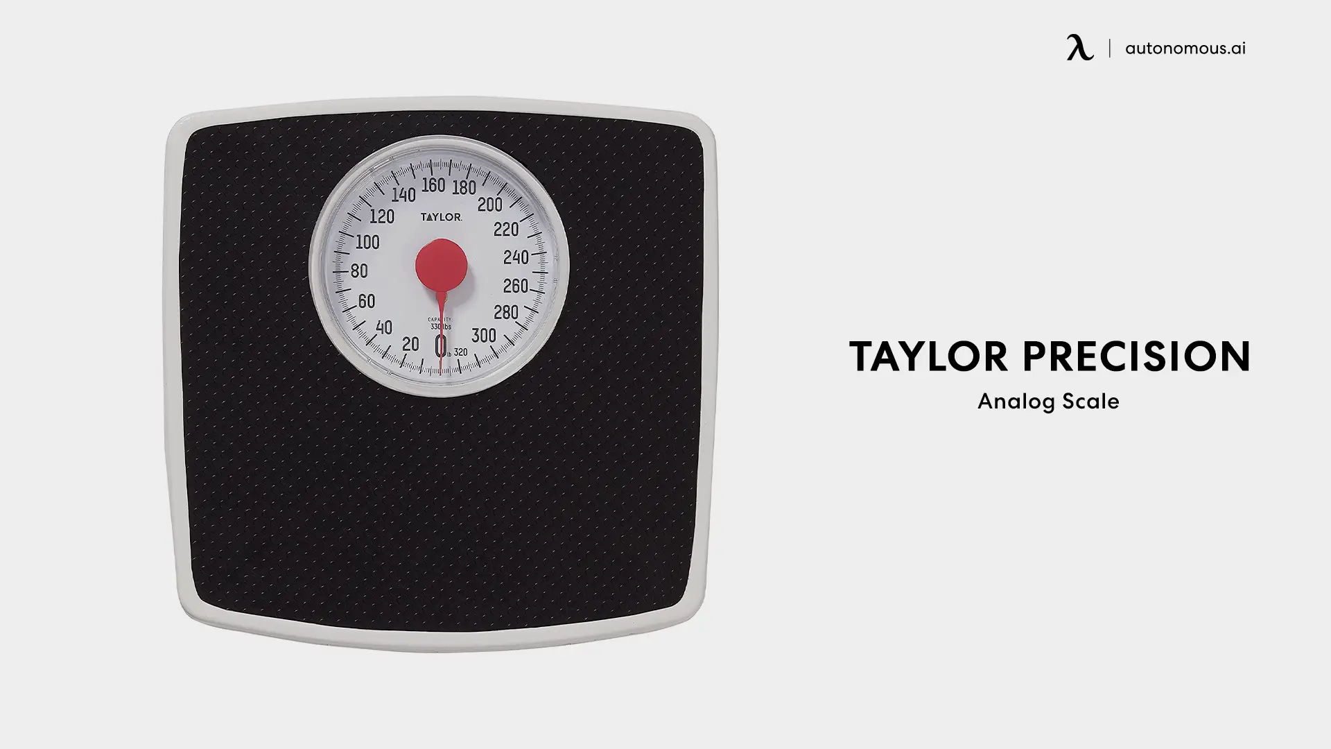 Taylor Precision Analog Scale