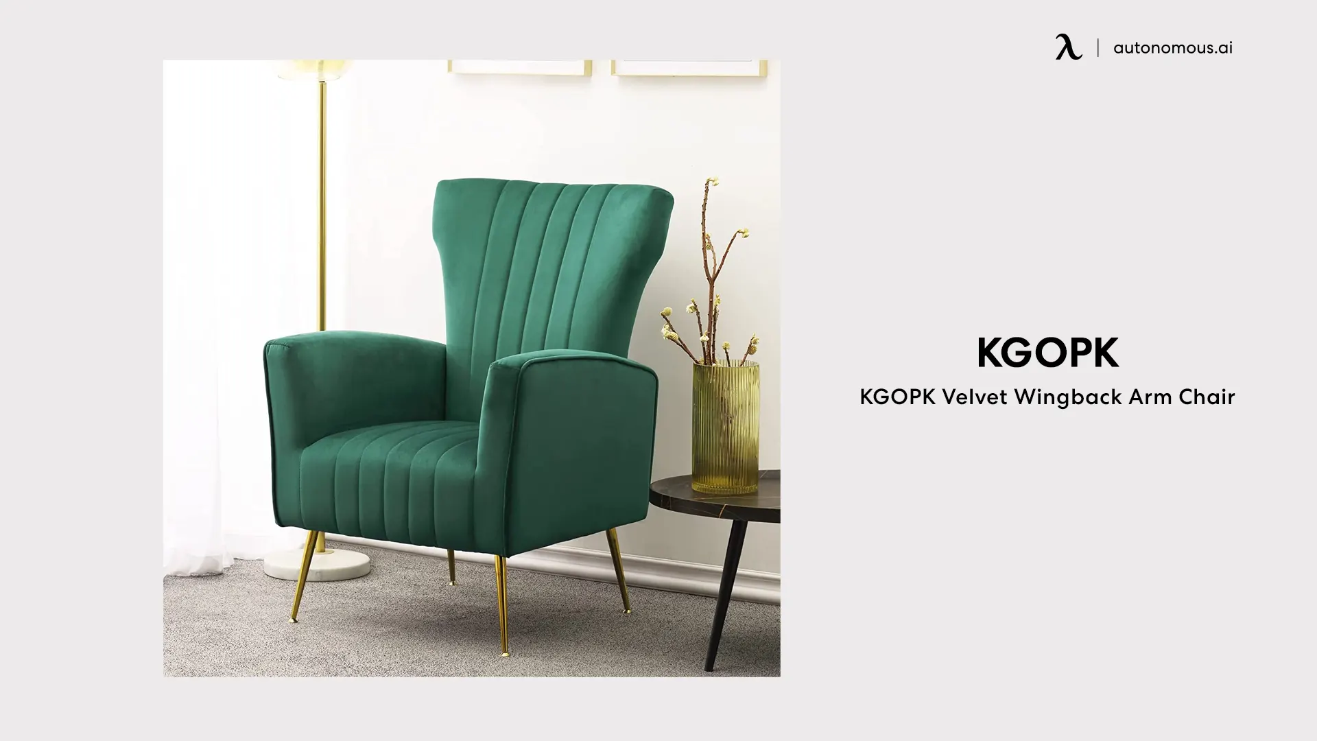 KGOPK Modern Velvet Accent Living Room Chair