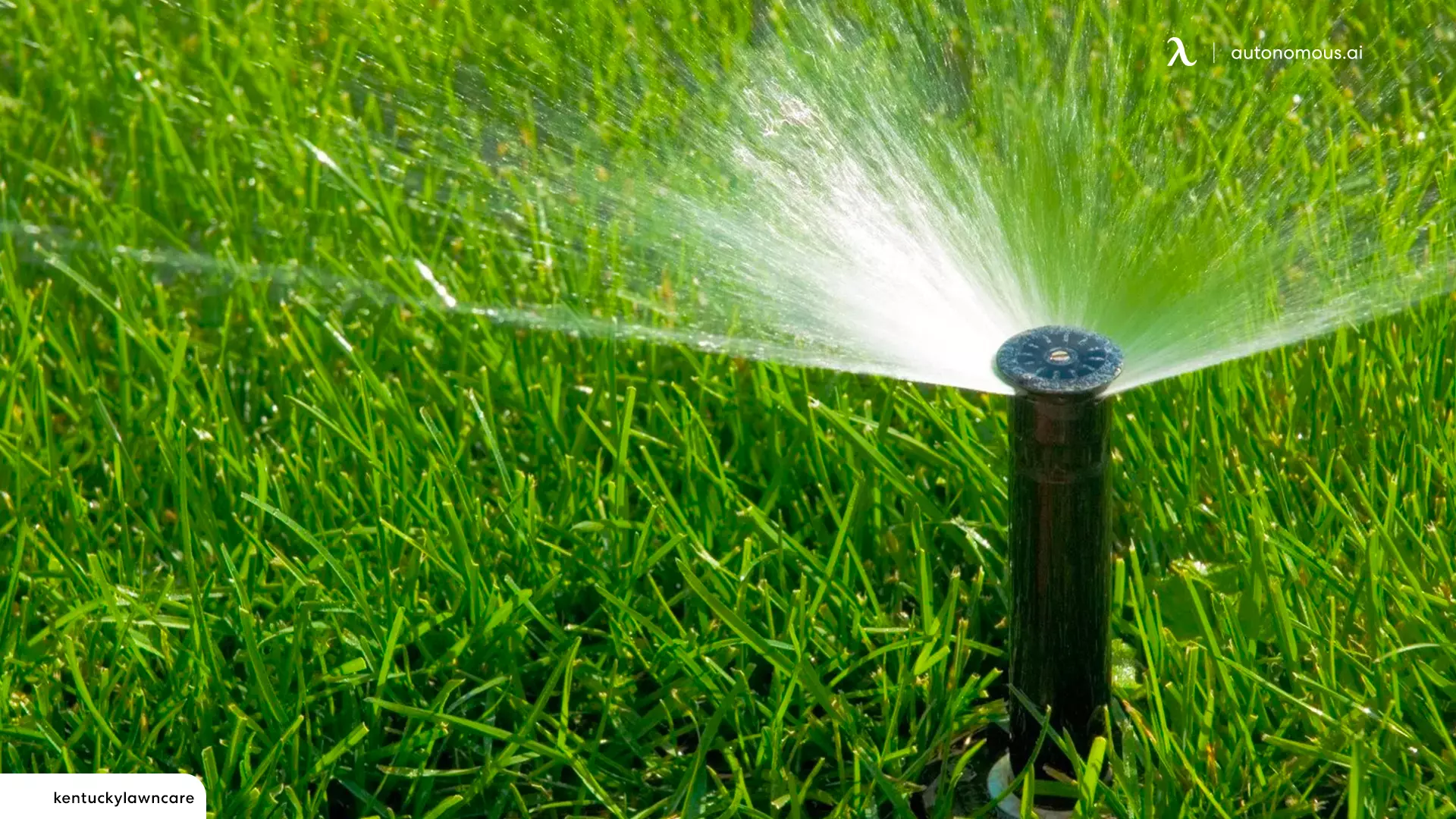 Sprinklers that Are Automated