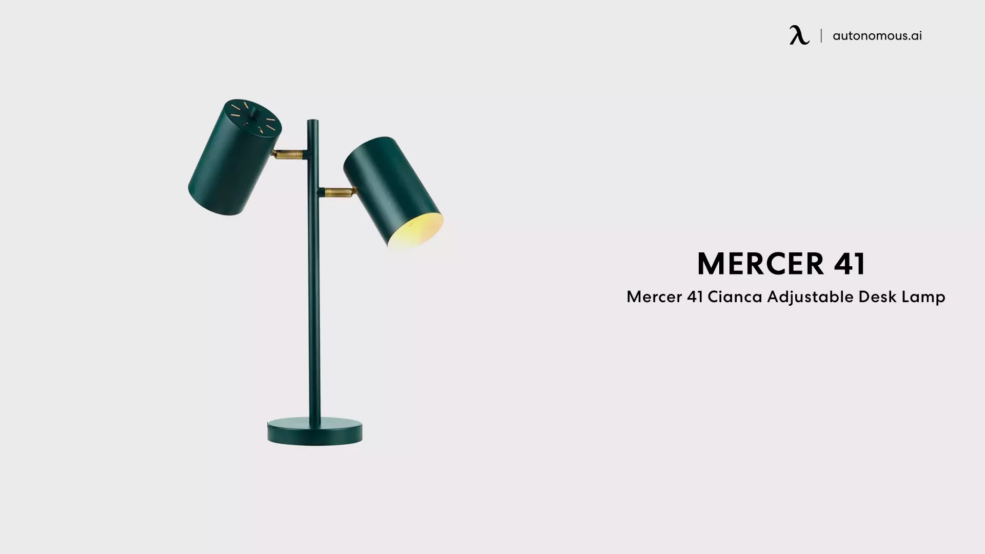 Mercer 41 Cianca Adjustable Desk Lamp