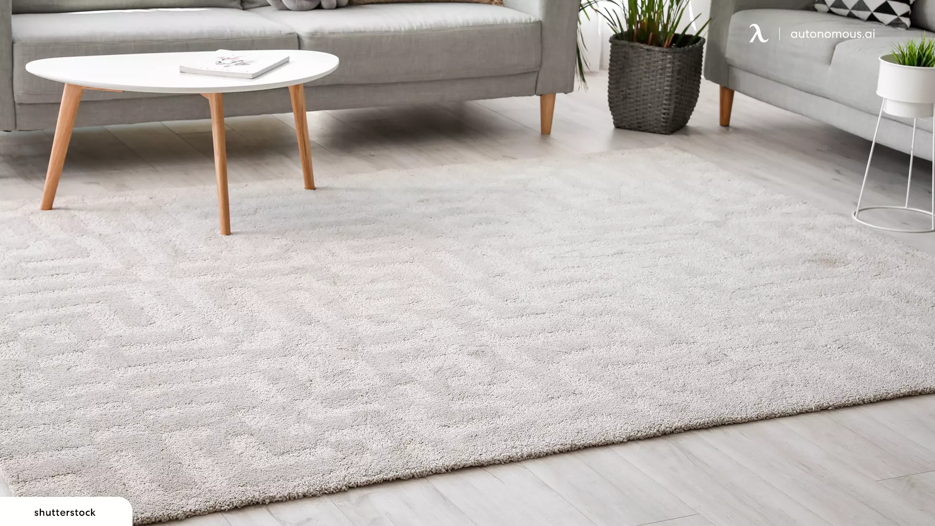 Carpet - living room corner ideas