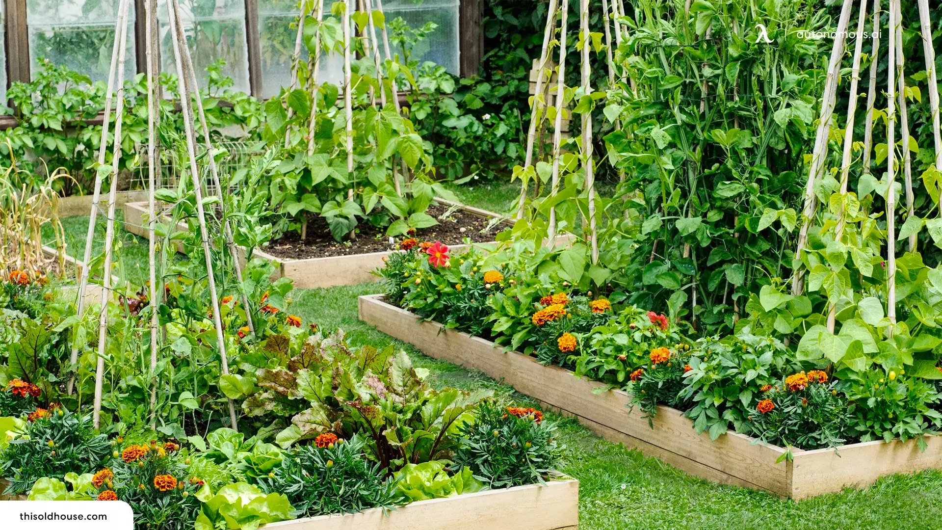 Make a Garden Bed - backyard renovation ideas