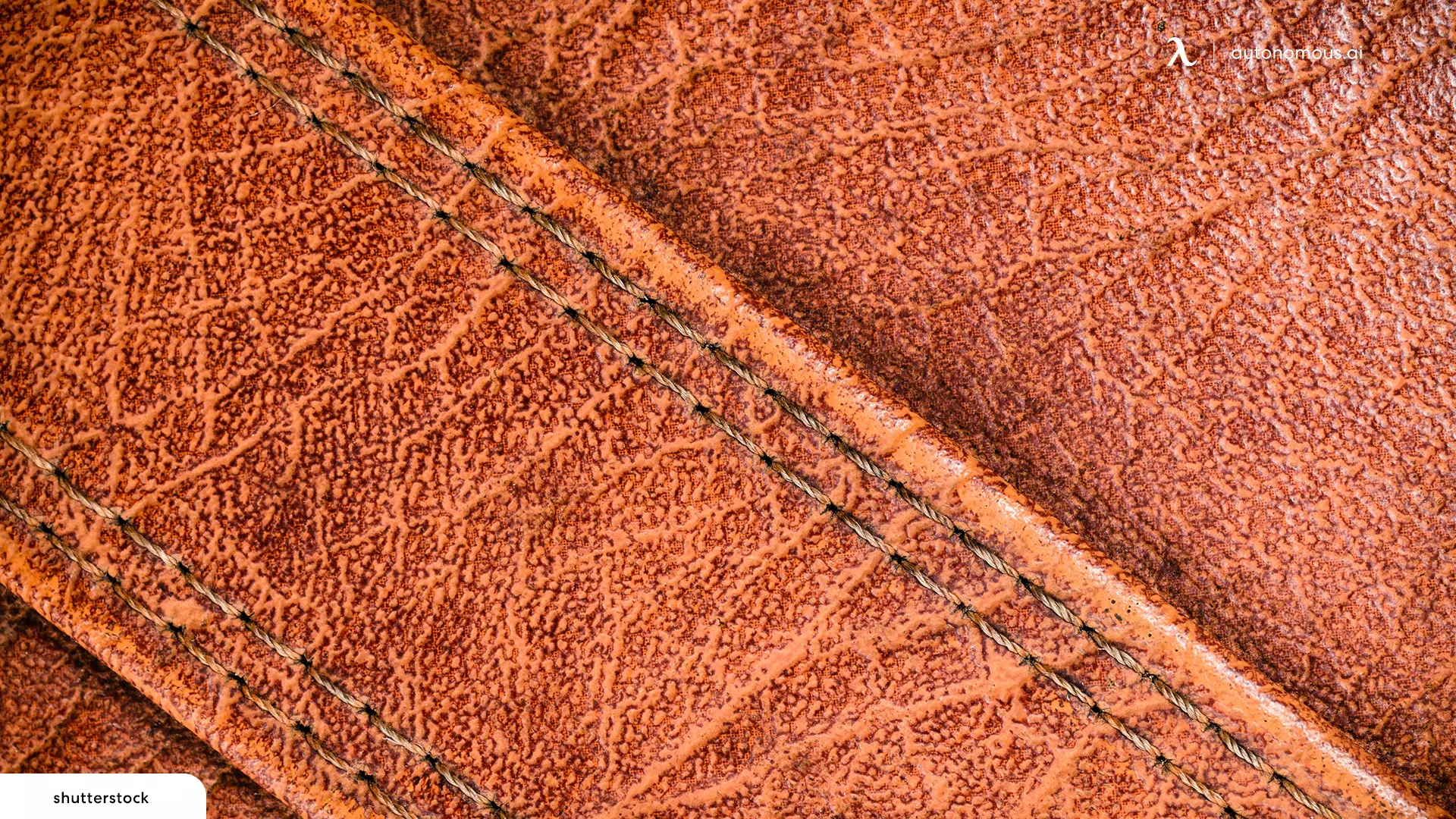 Differences Between Bonded Leather and Other Types of Leather