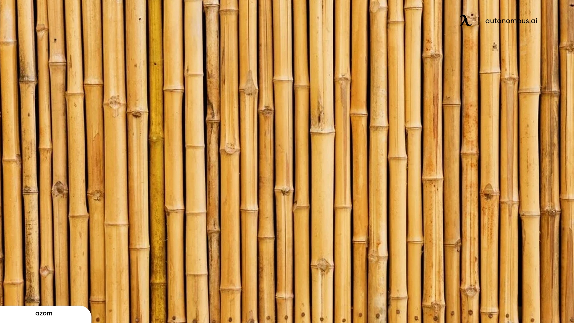 Bamboo - sustainable building material