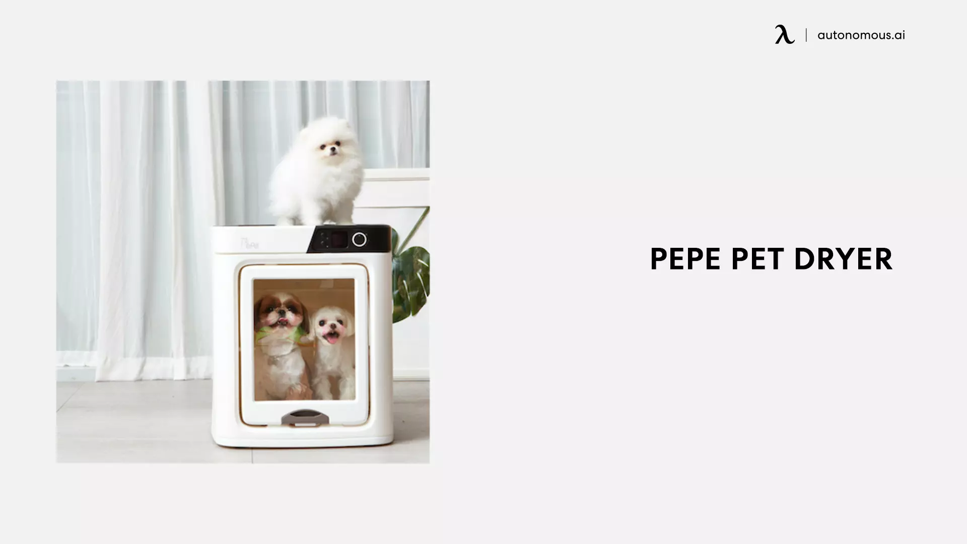 Pepe Pet Dryer - weird gadgets