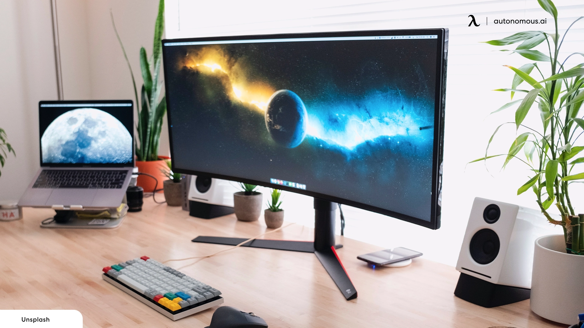 Curved vs. flat monitor